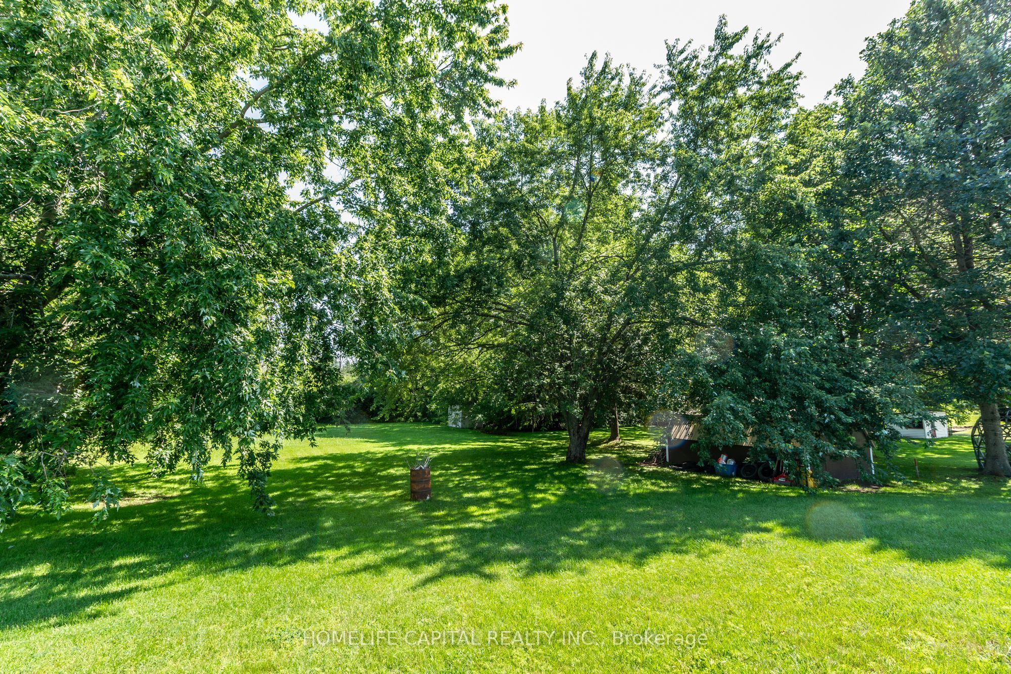 8425 County Rd 15 Road Property Photo 9