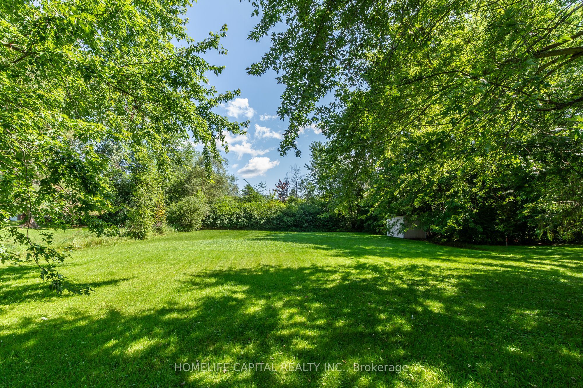 8425 County Rd 15 Road Property Photo 13