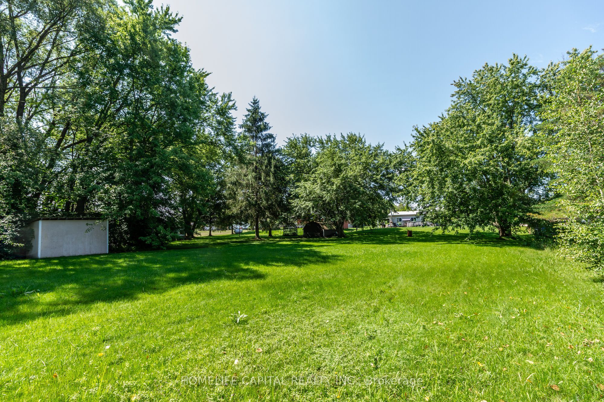 8425 County Rd 15 Road Property Photo 15