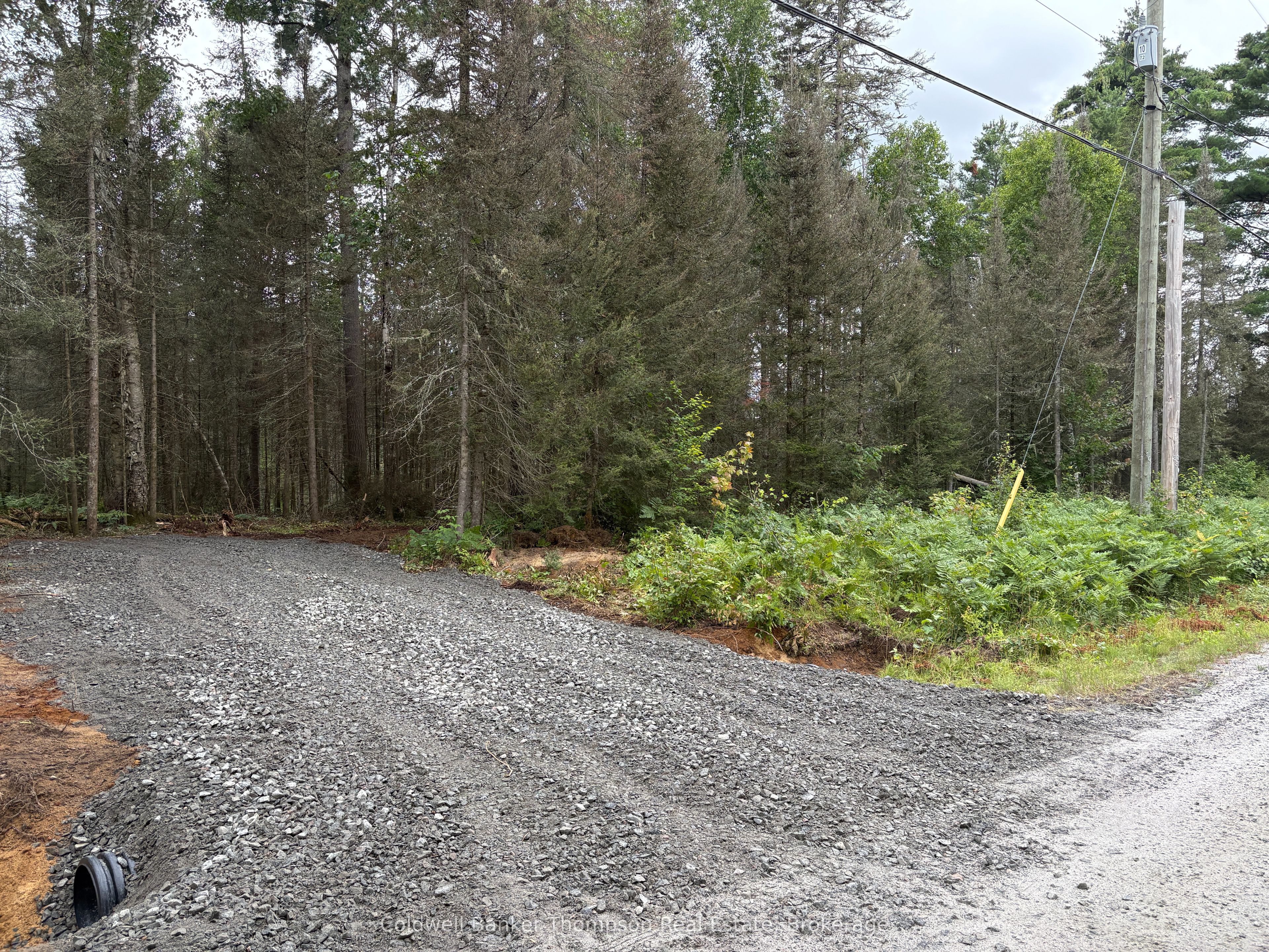 818 Sand Hill Road Property Photo 3