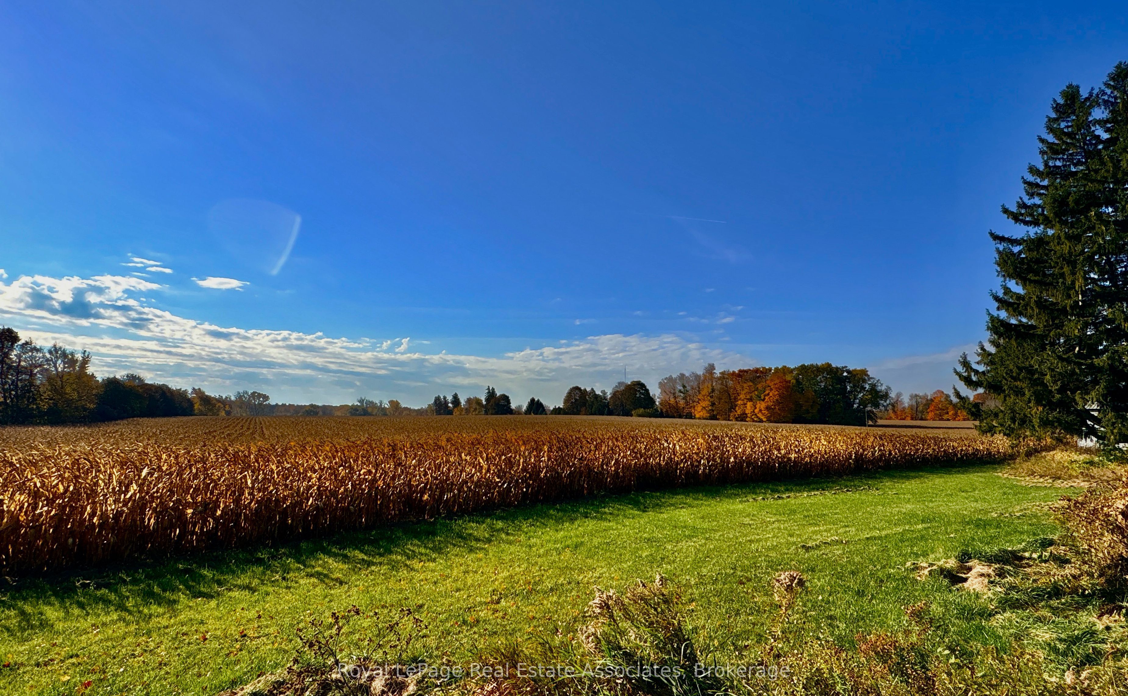 783 Highway 6 N Property Photo 6