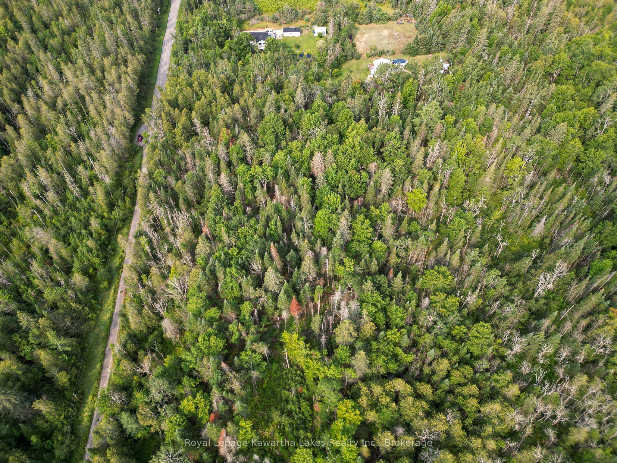 Lt 4 Dutch Line Road W Property Photo 3