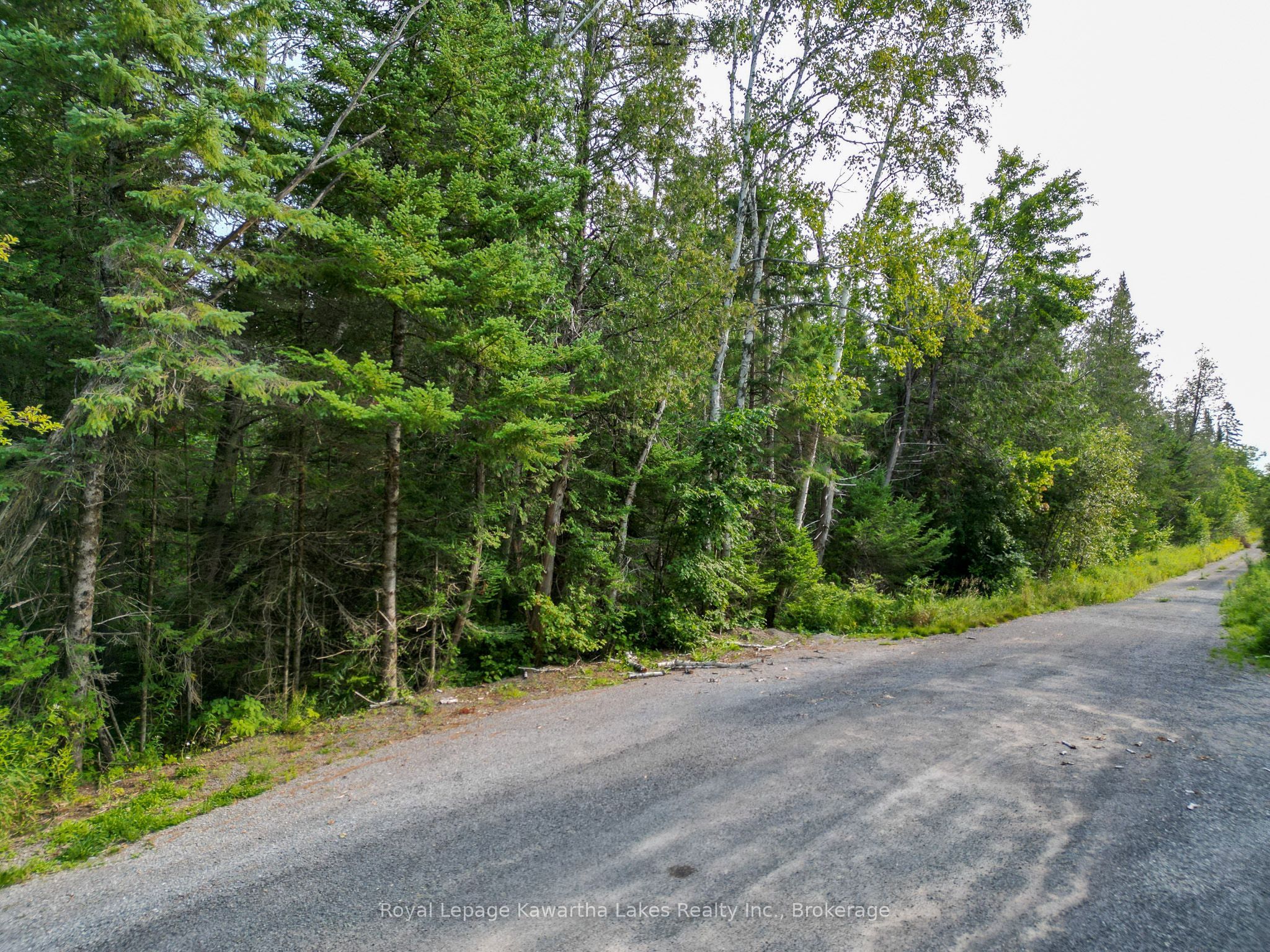 Lt 4 Dutch Line Road W Property Photo 4
