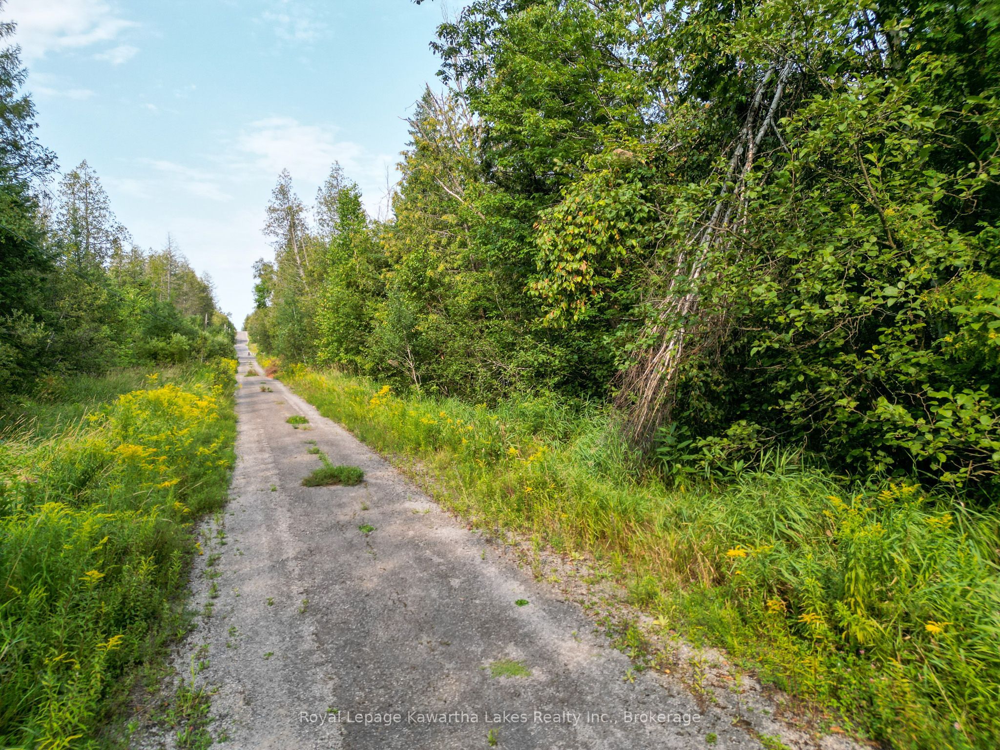 Lt 4 Dutch Line Road W Property Photo 6