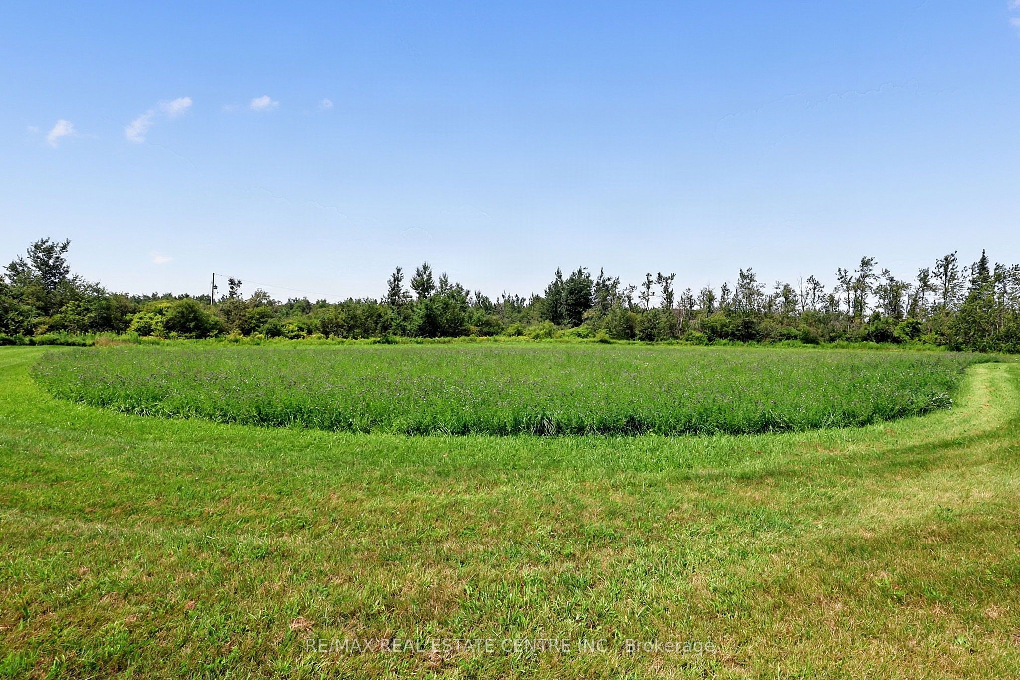 398019 5th Line Property Photo 4