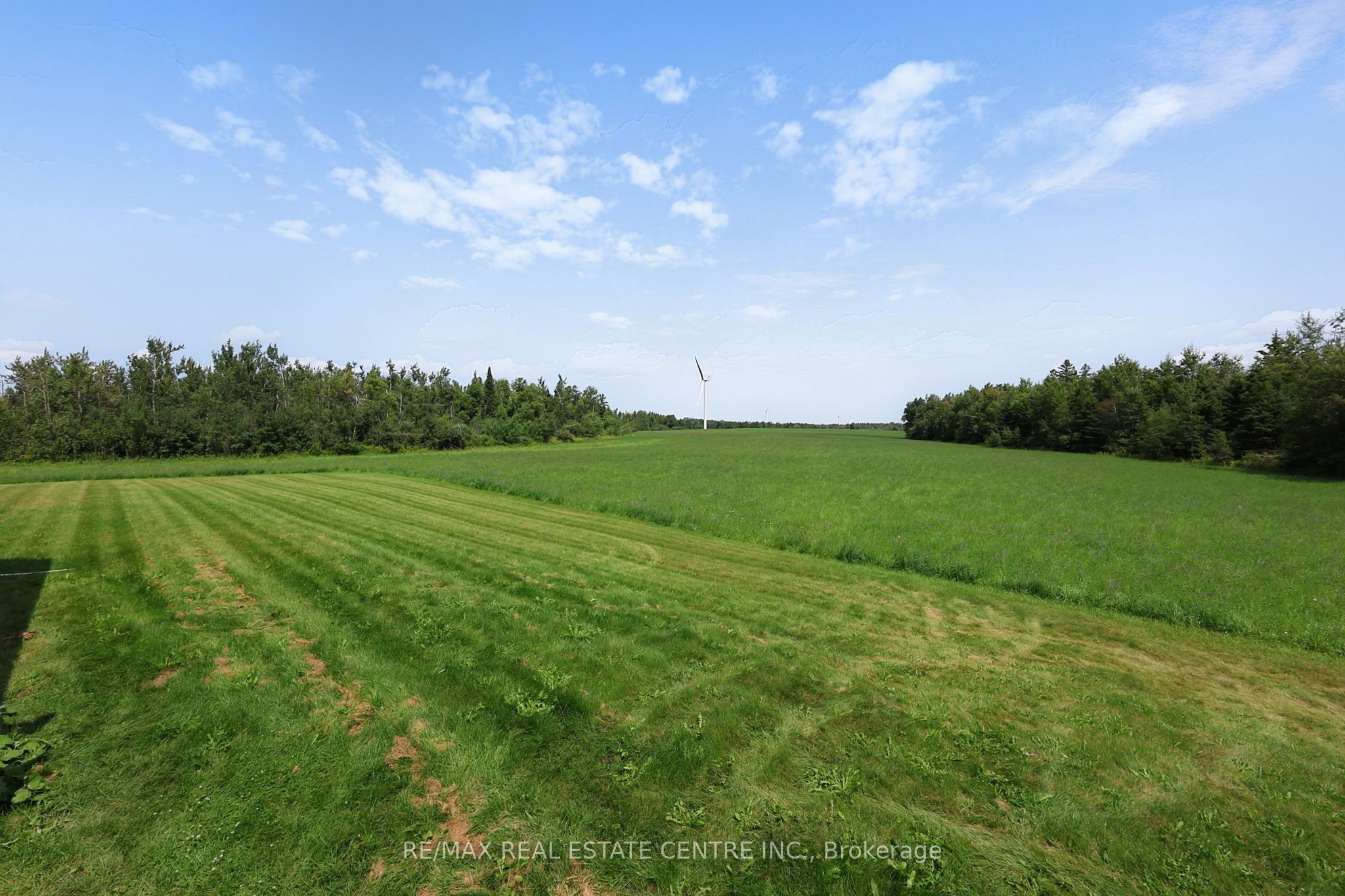 398019 5th Line Property Photo 41