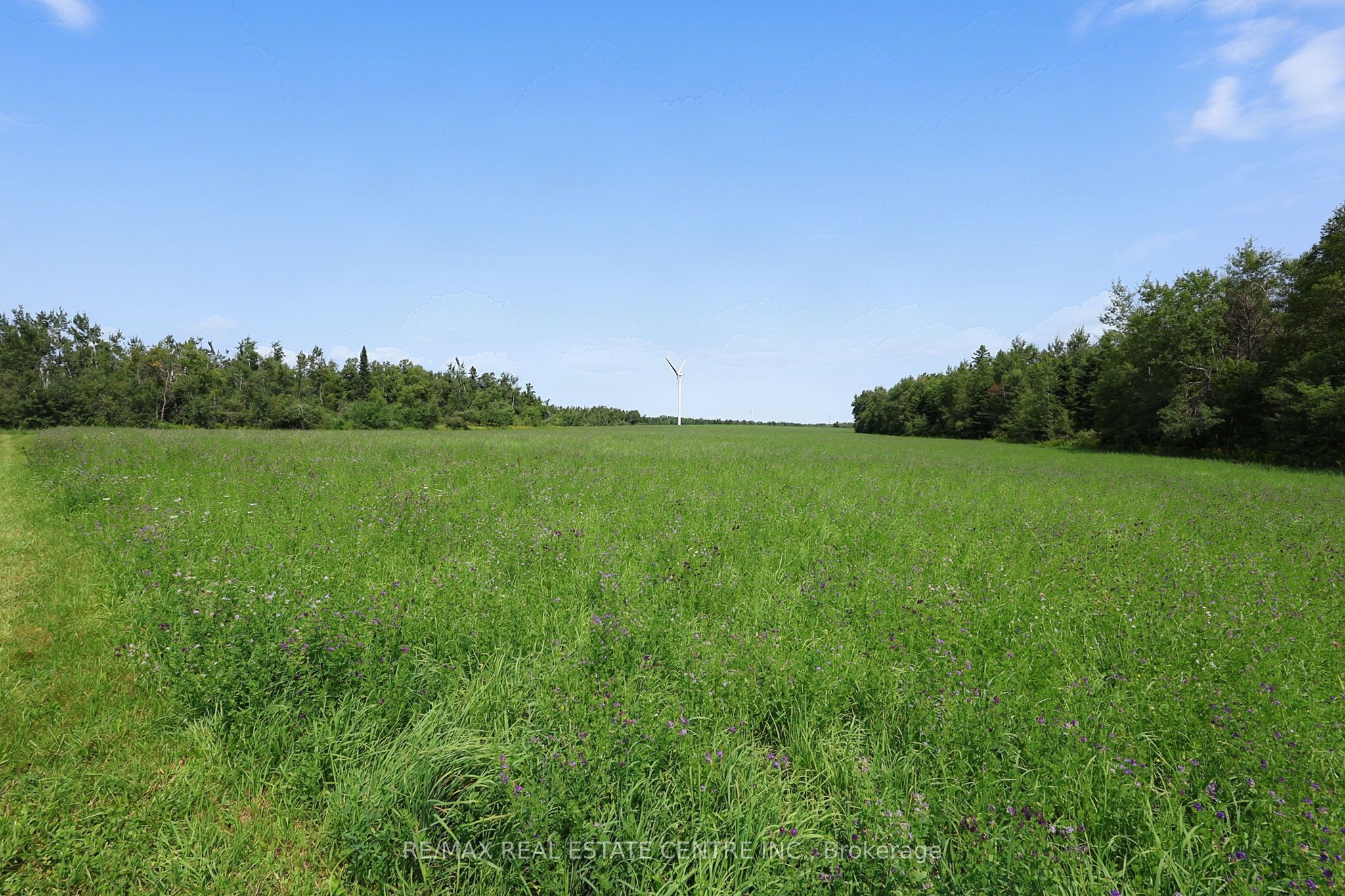 398019 5th Line Property Photo 46