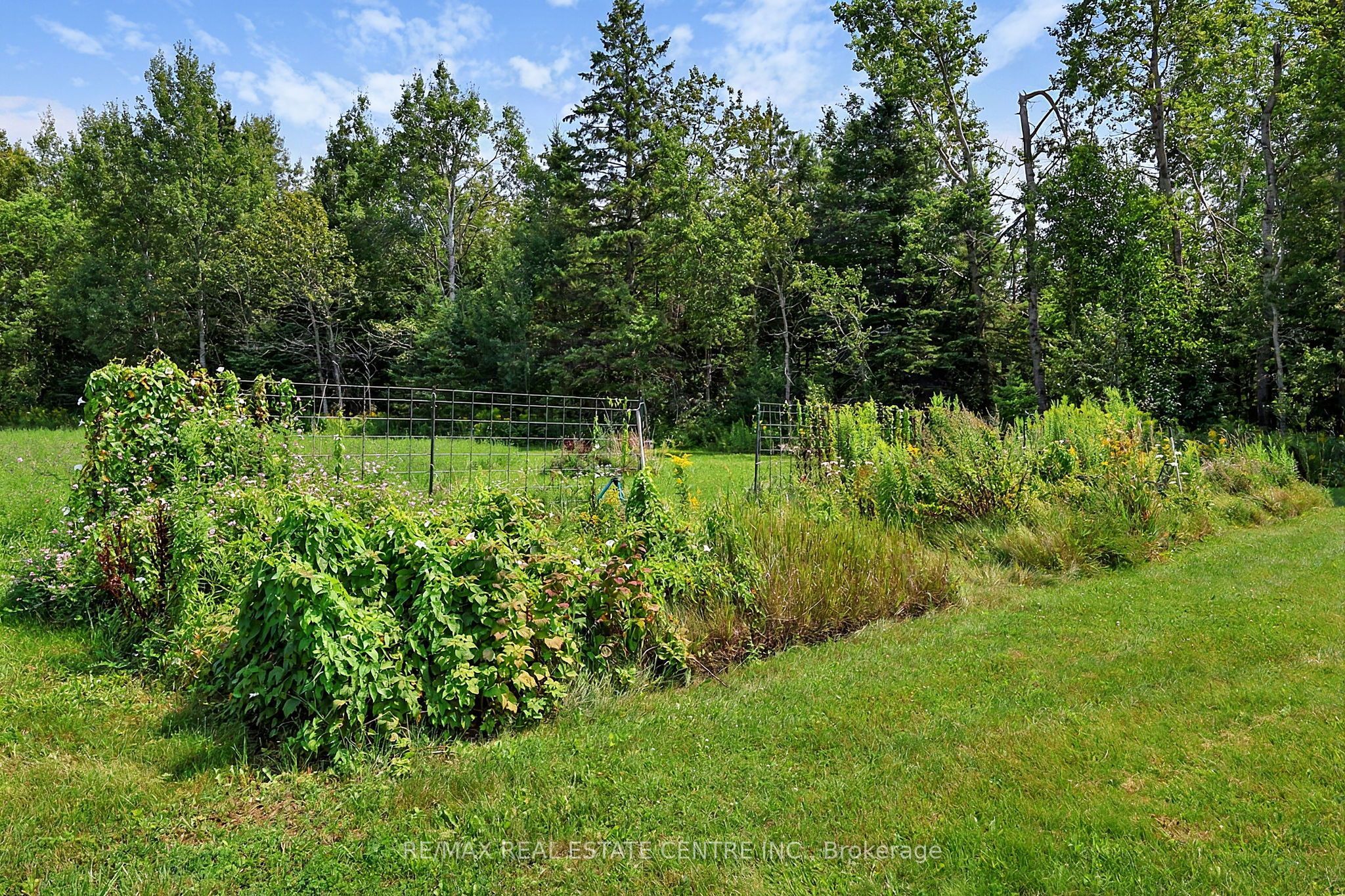 398019 5th Line Property Photo 47