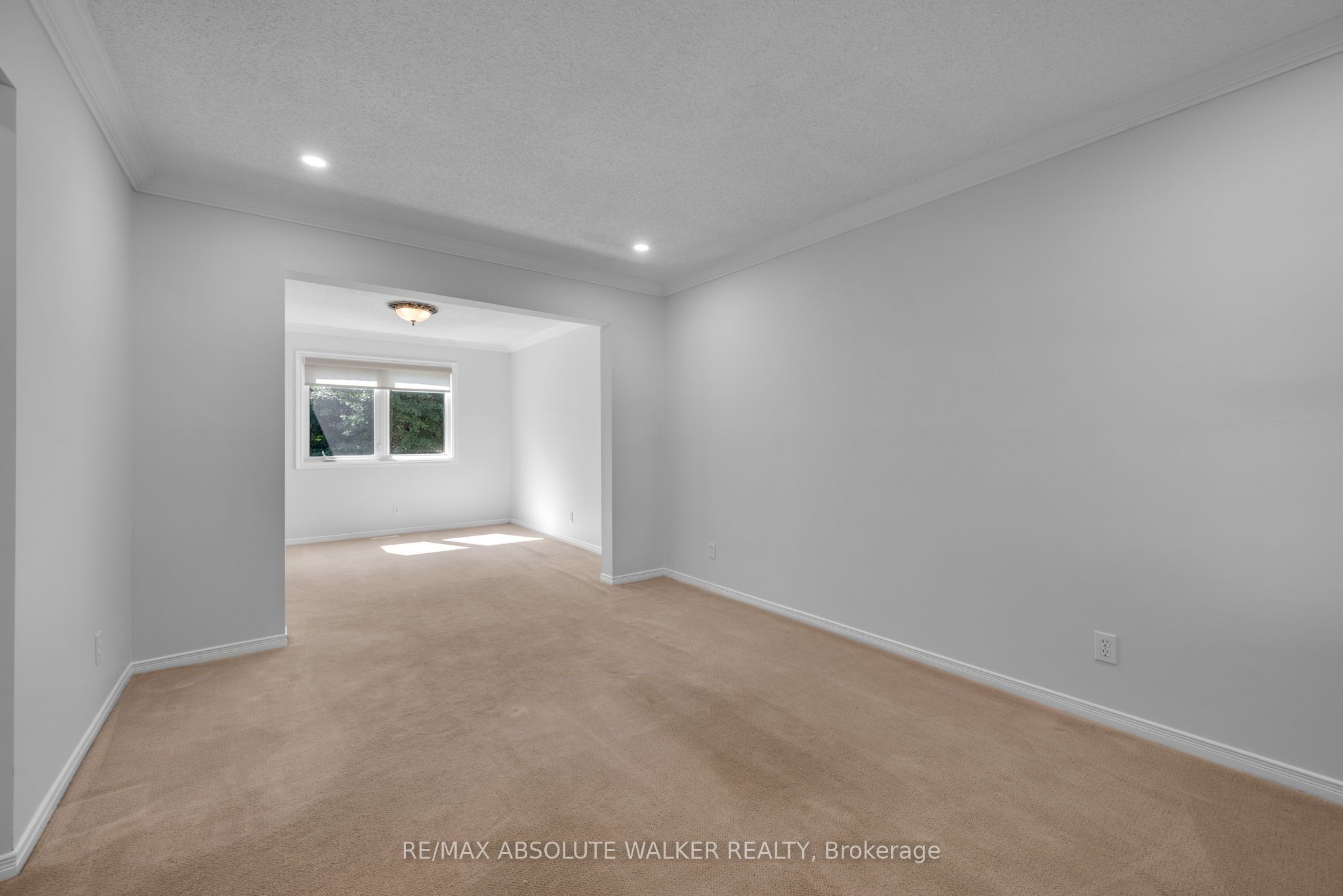 65 Halley Street Property Photo 6