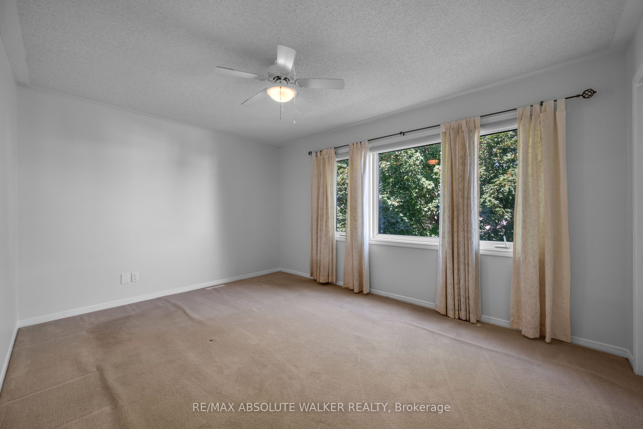 65 Halley Street Property Photo 23