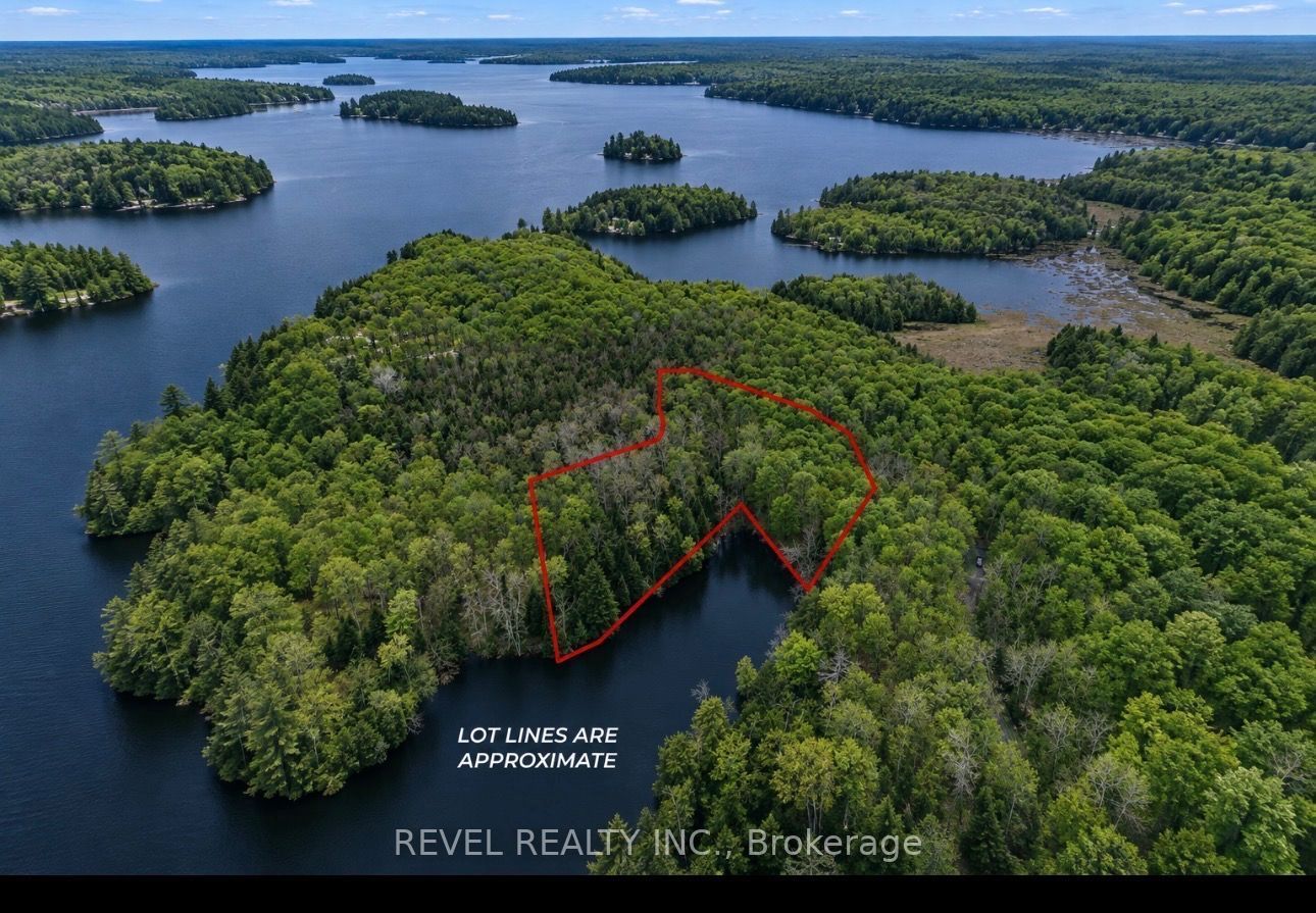 46 Lori-lea Trail Property Photo 2