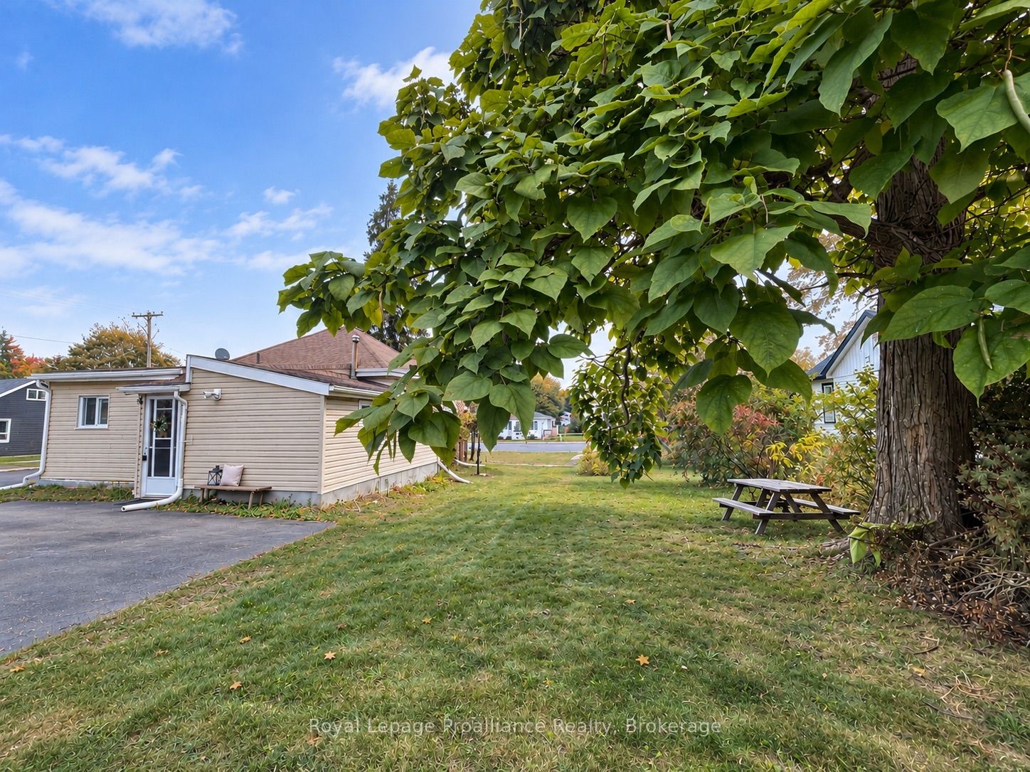 252 Sidney Street Property Photo 5