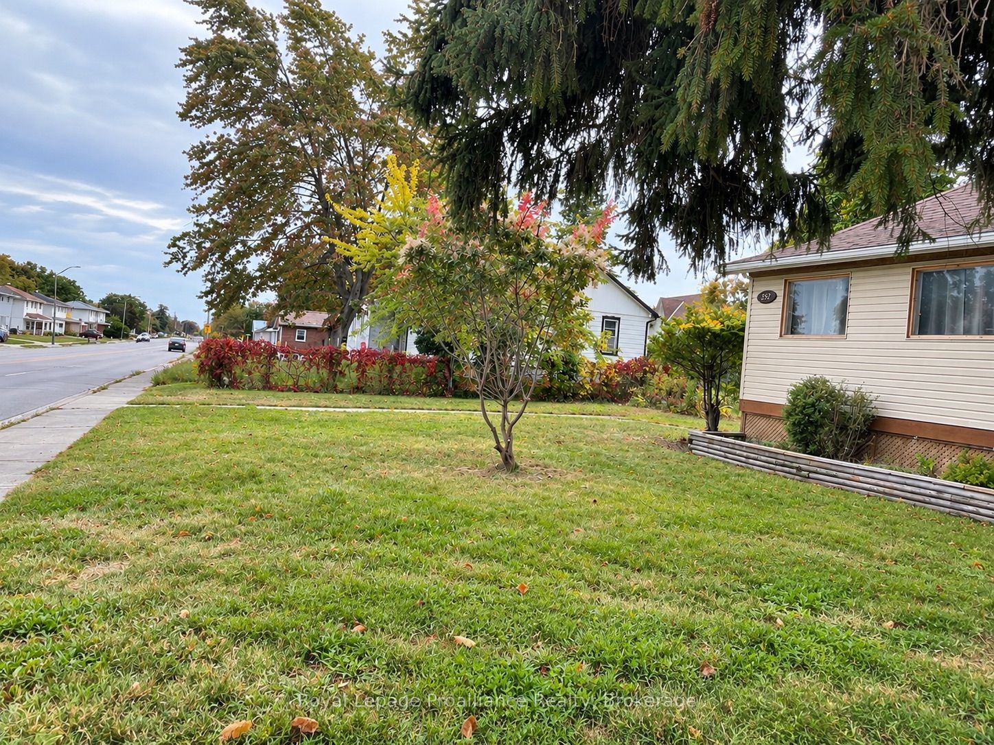252 Sidney Street Property Photo 30