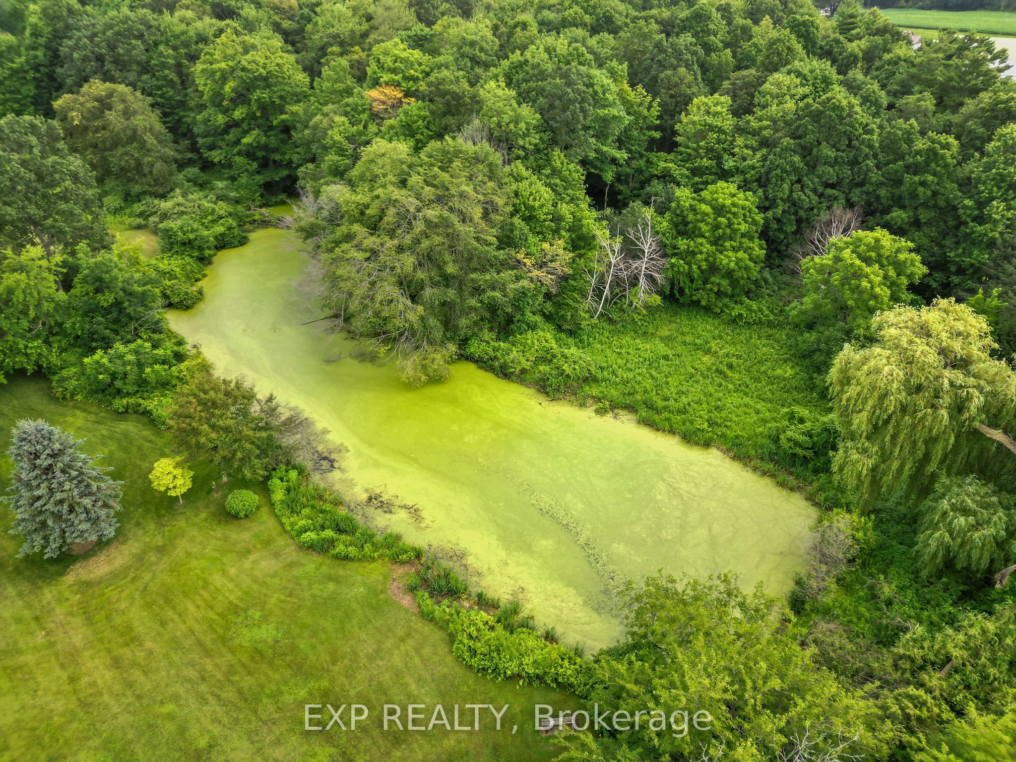 4465 Imperial Road Property Photo 9