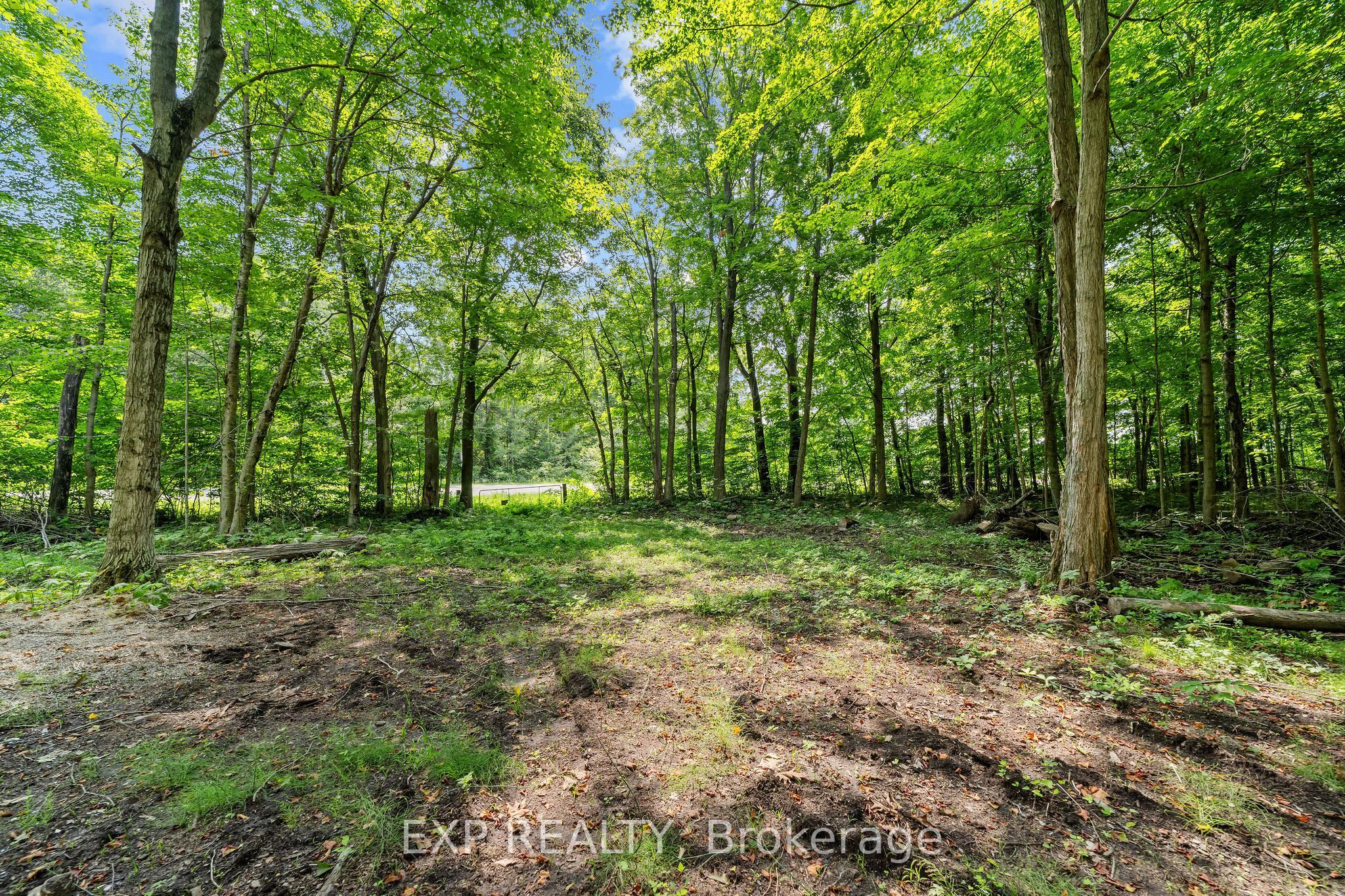 4465 Imperial Road Property Photo 34