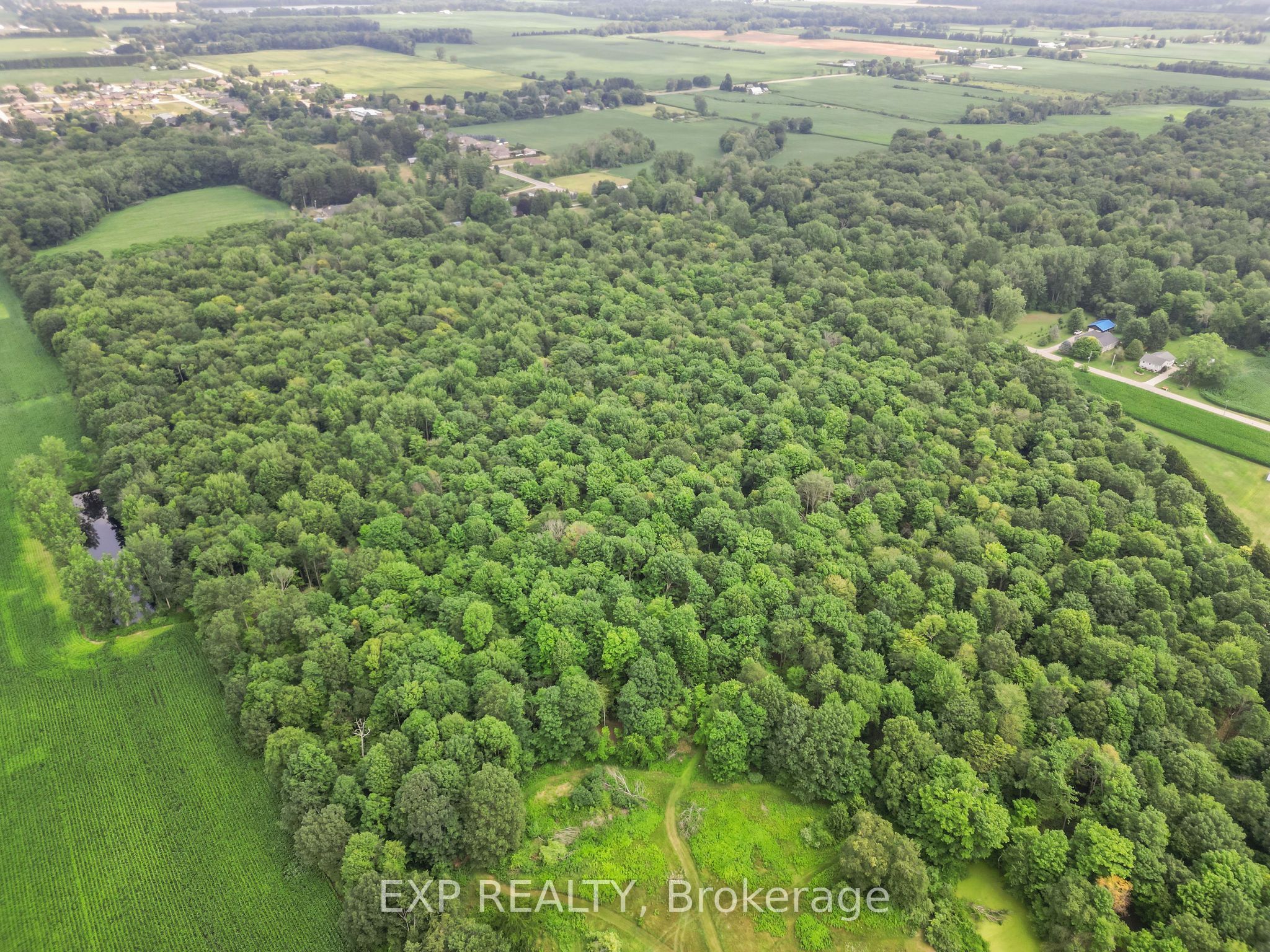 4465 Imperial Road Property Photo 41