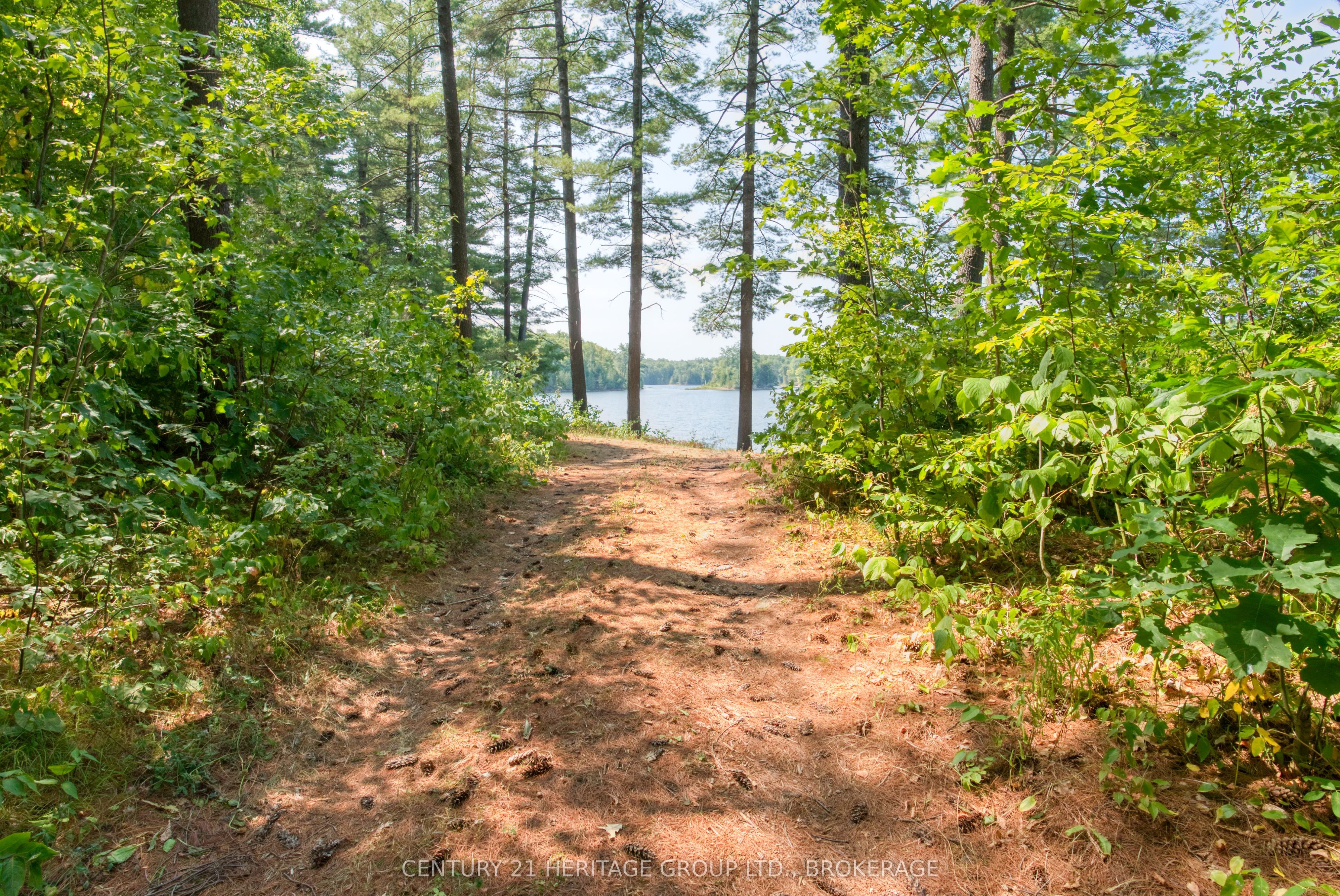 1036a Twin Lake Lane Property Photo 19