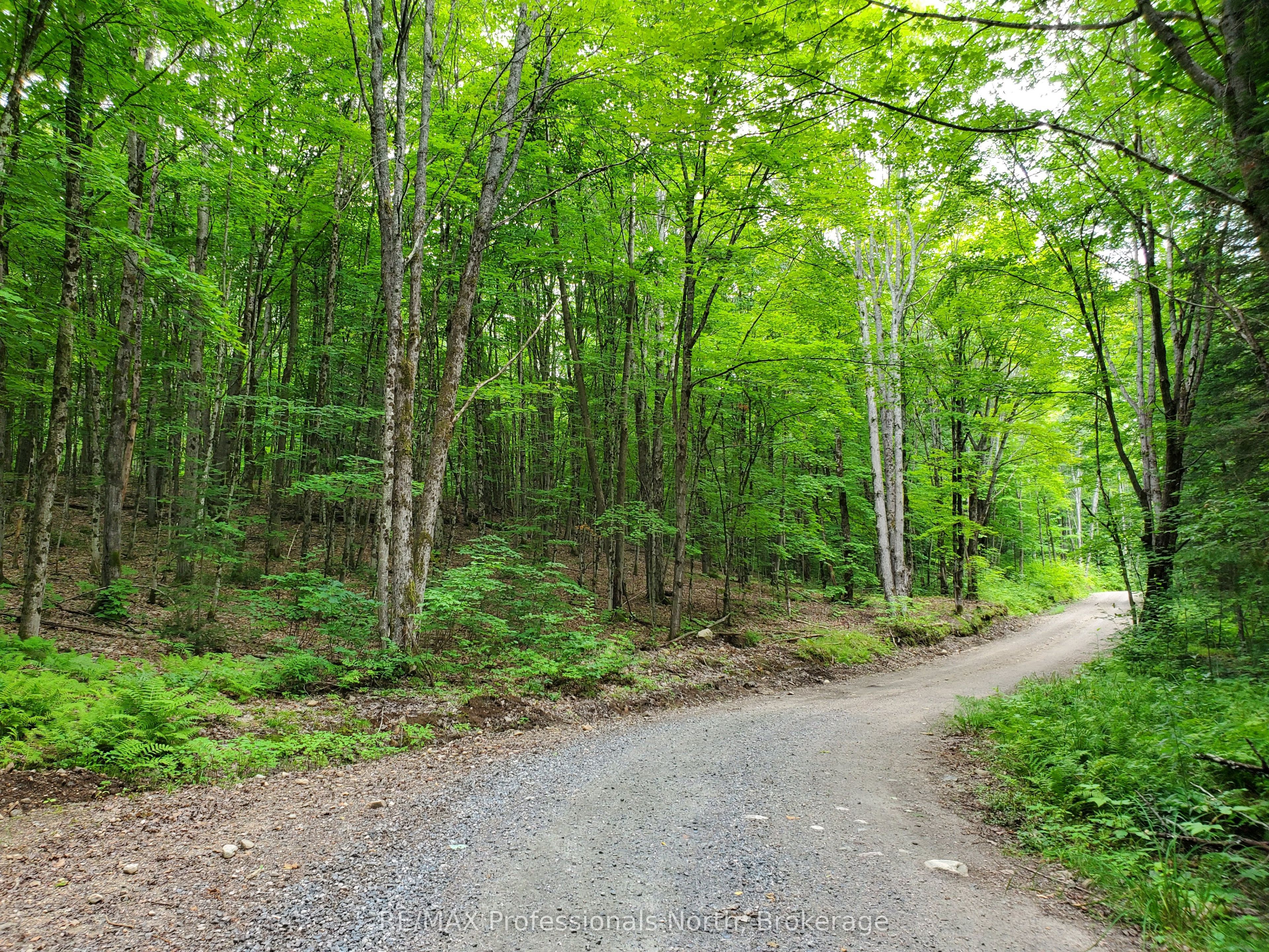 0 Buckslide Road Property Photo 3