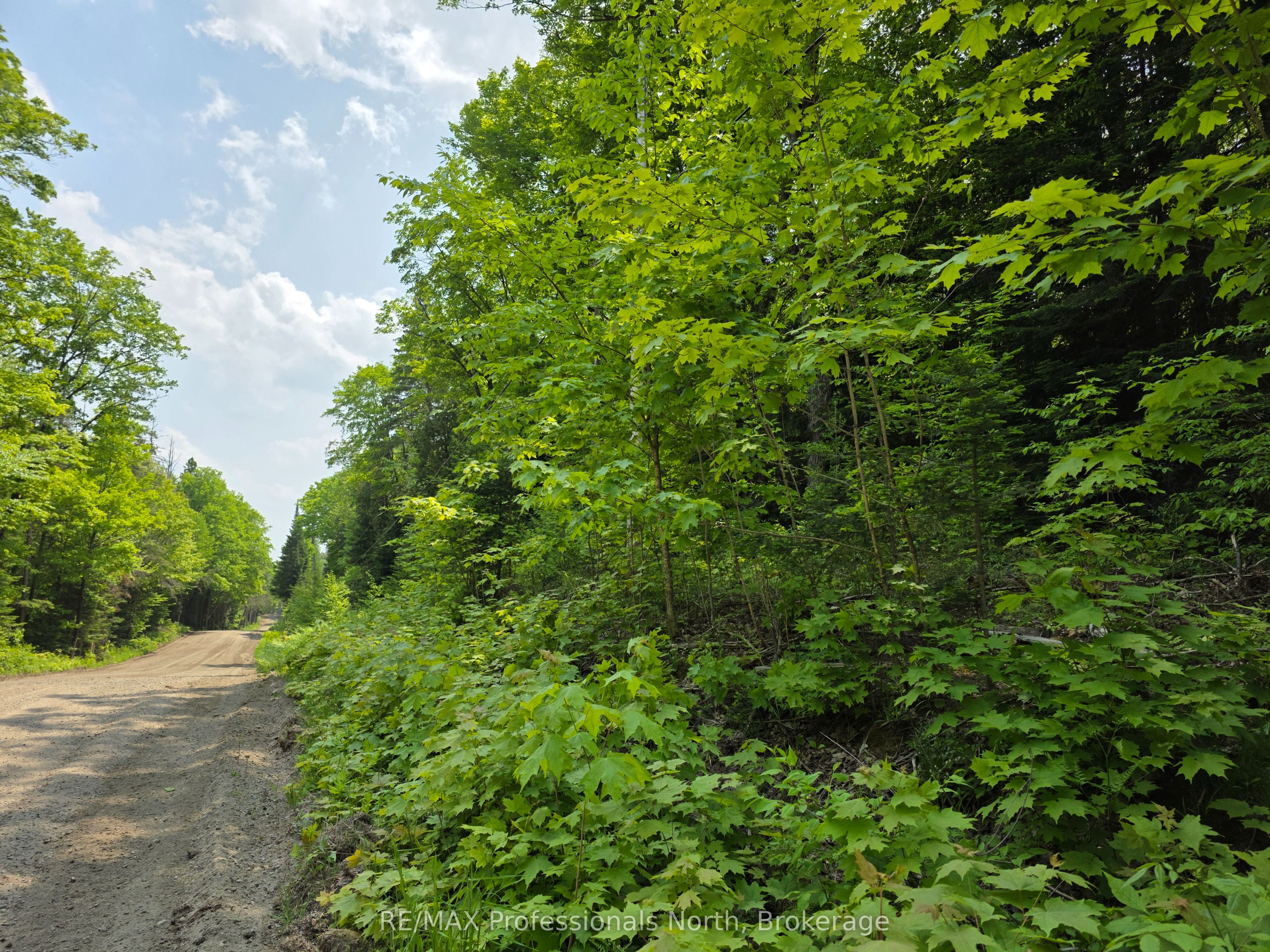 0 Buckslide Road Property Photo 4
