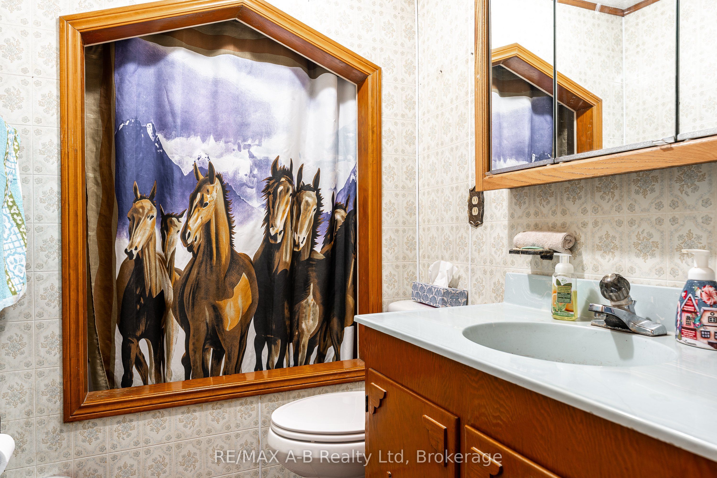 376553 Line 37 Property Photo 14
