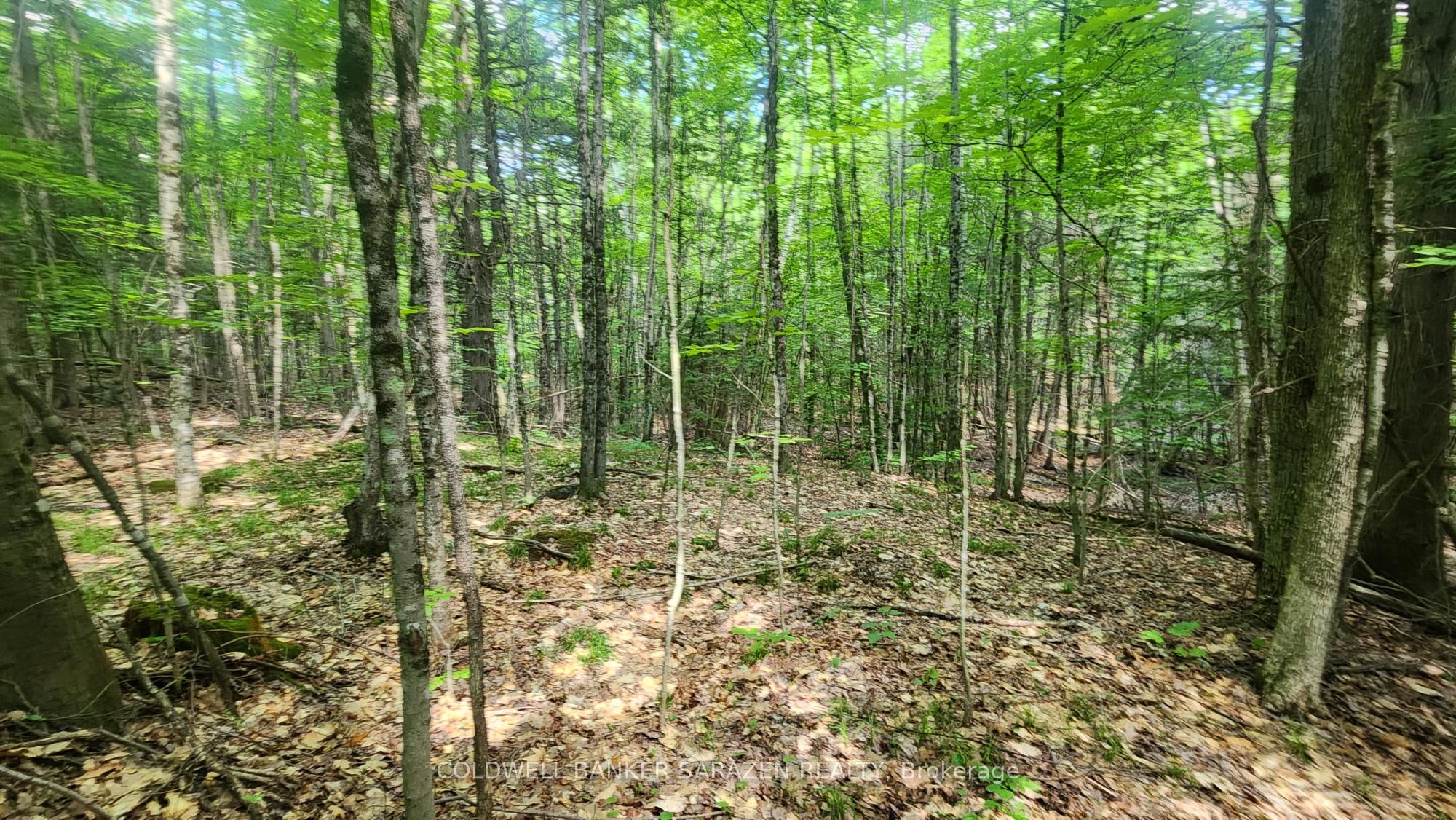 00 Canaan Road Property Photo 1