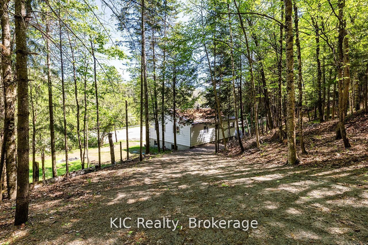 14202 Highway 118 Highway E Lower Property Photo 3