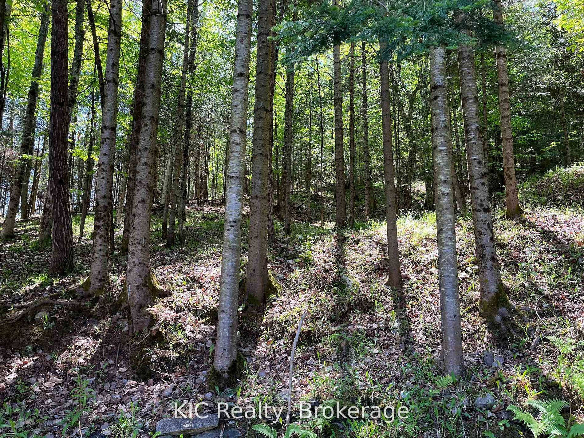 14202 Highway 118 Highway E Lower Property Photo 16