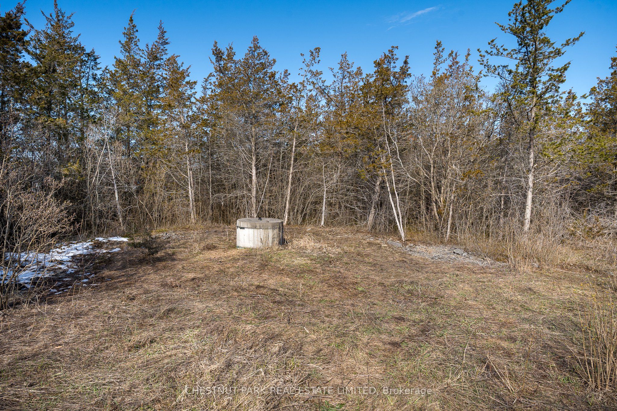 695 County Road 7 Property Photo 11