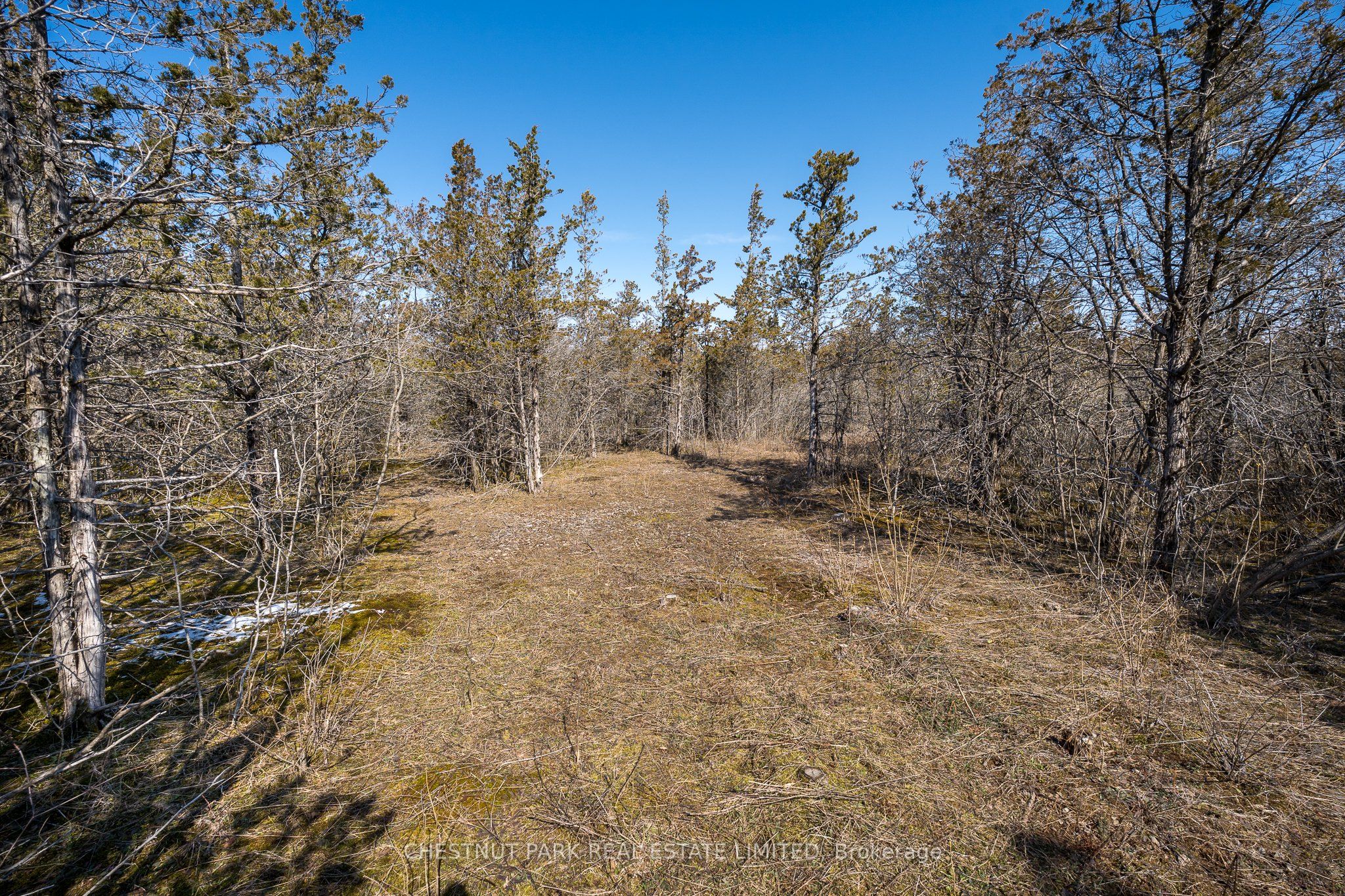 695 County Road 7 Property Photo 12