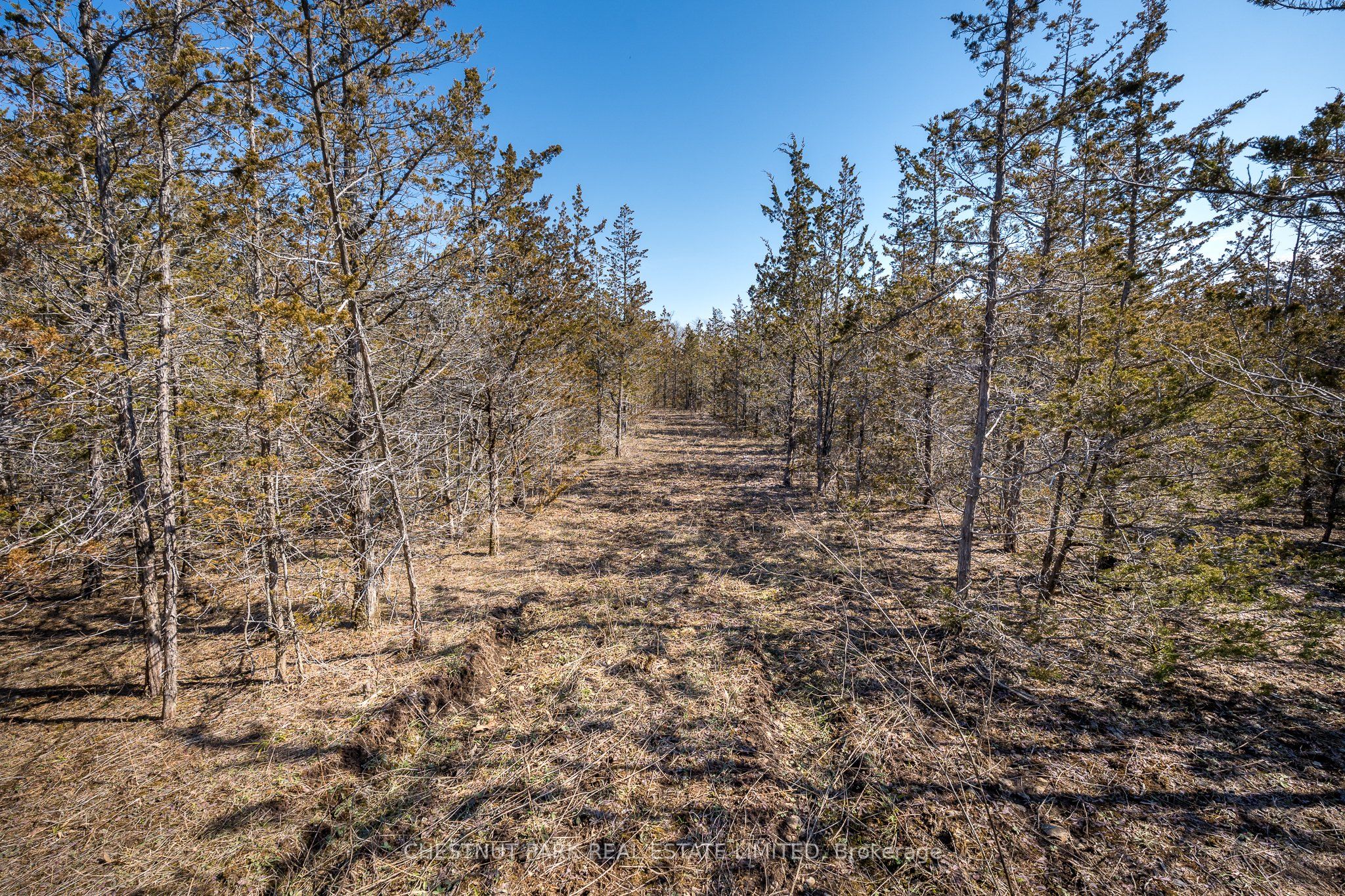 695 County Road 7 Property Photo 14