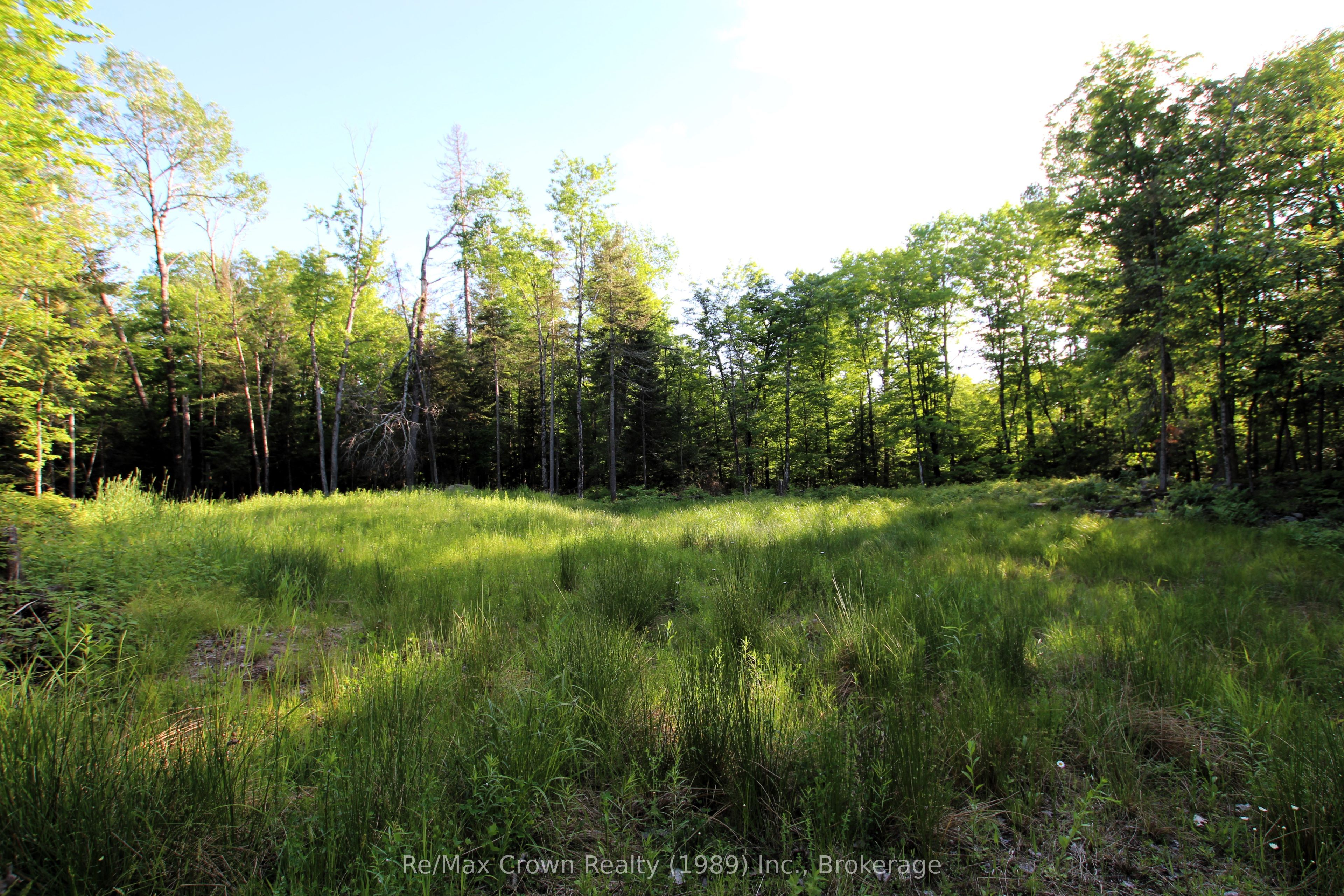 453 Pilgers Road Property Photo 2