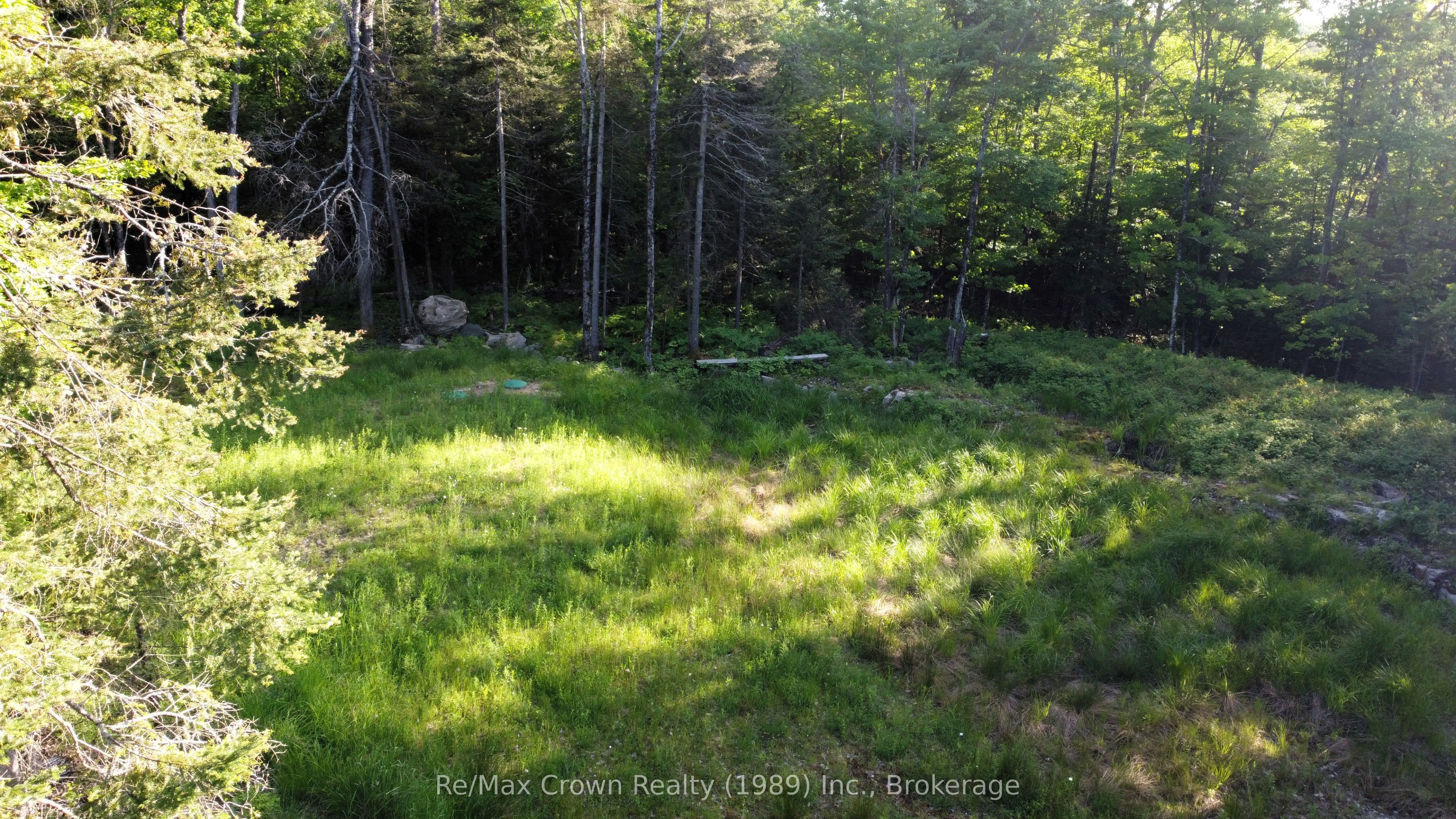 453 Pilgers Road Property Photo 3