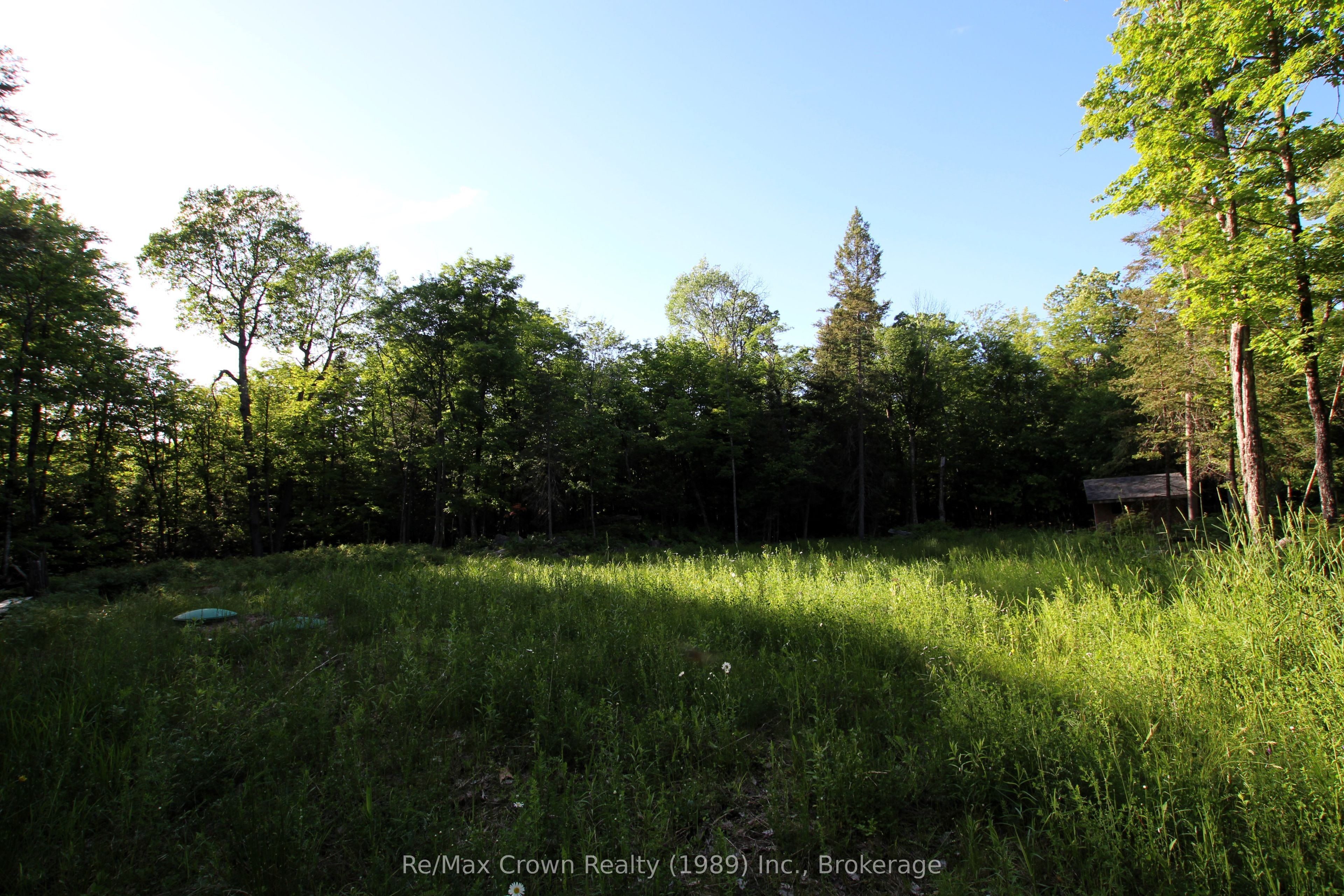 453 Pilgers Road Property Photo 6