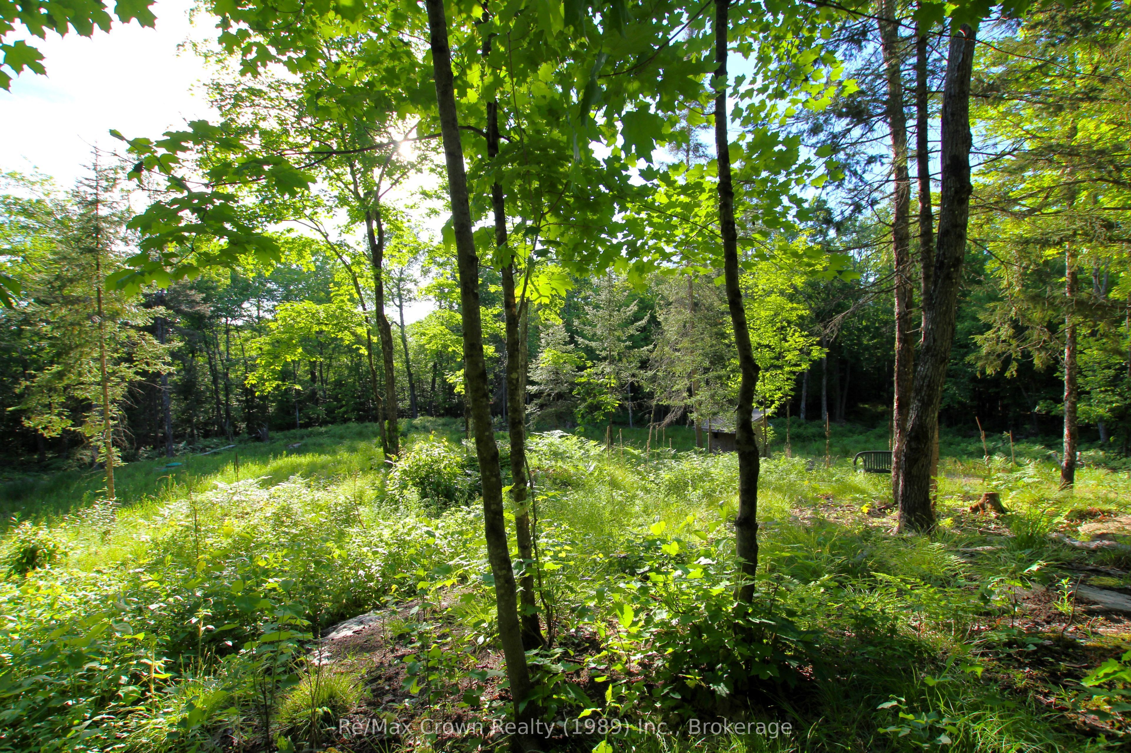 453 Pilgers Road Property Photo 7