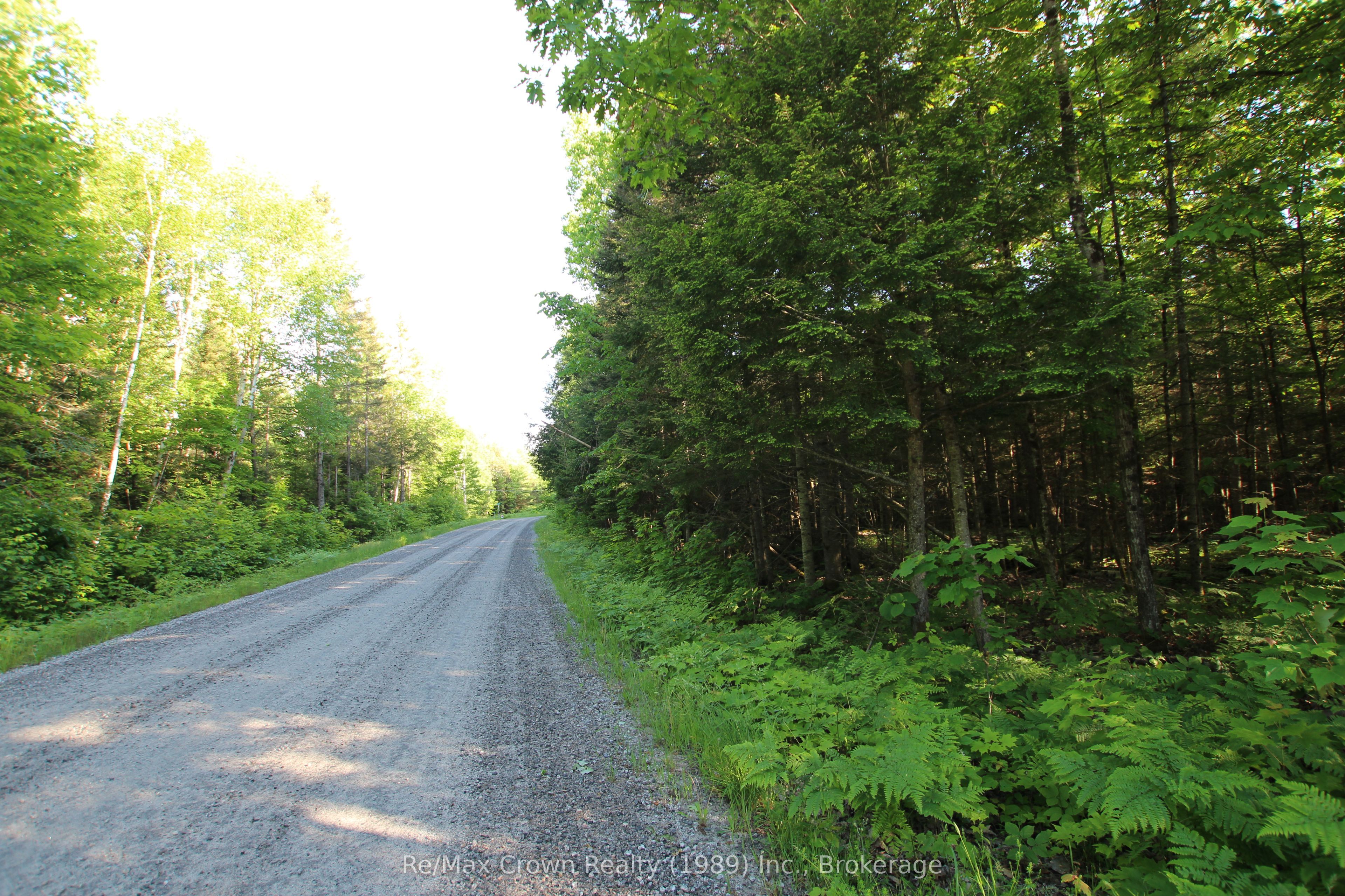 453 Pilgers Road Property Photo 8