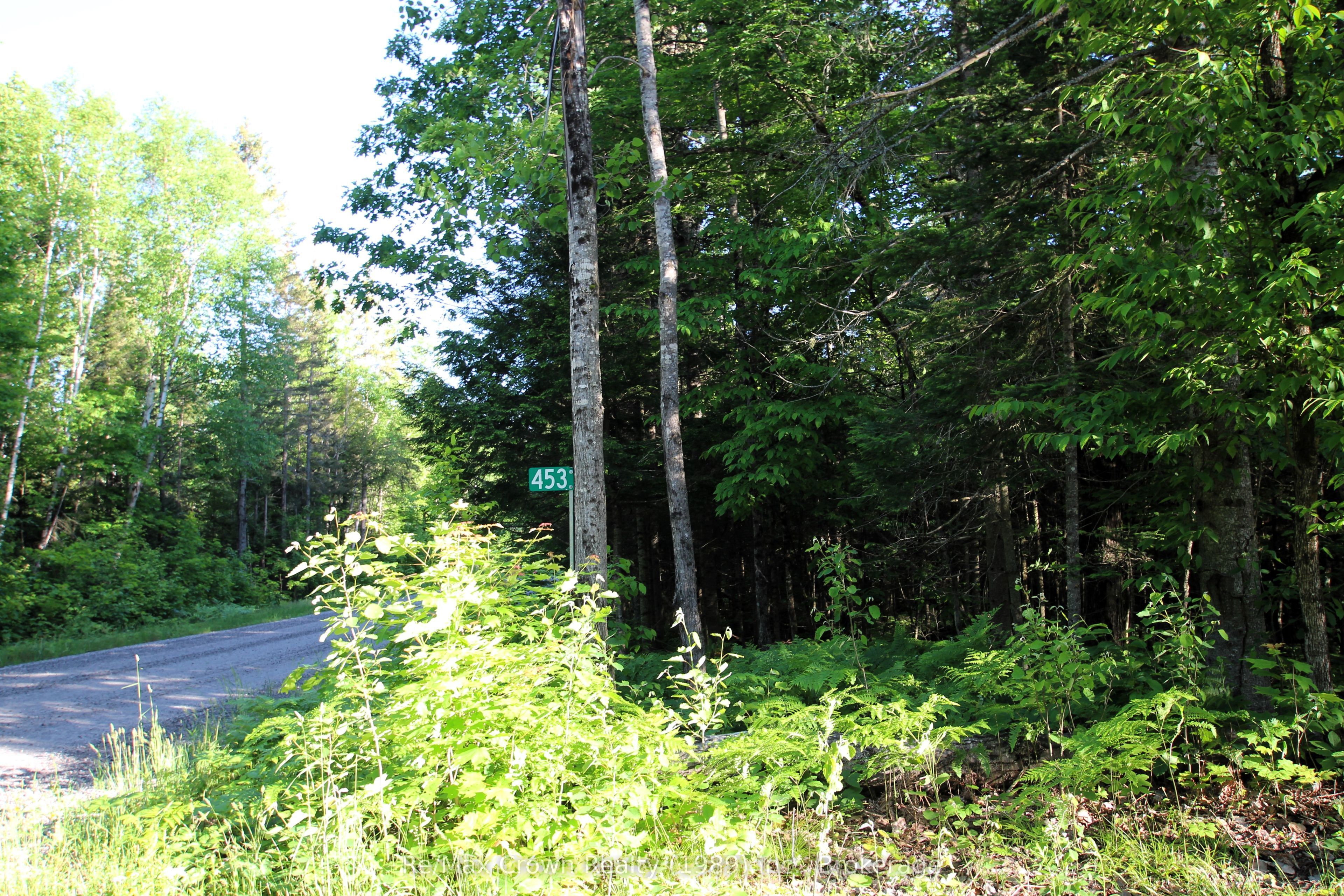 453 Pilgers Road Property Photo 9