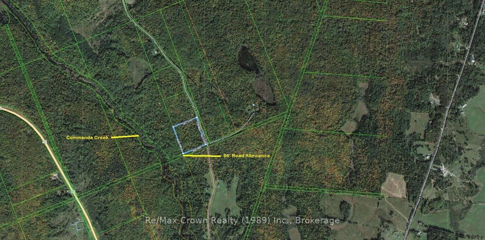 453 Pilgers Road Property Photo 14
