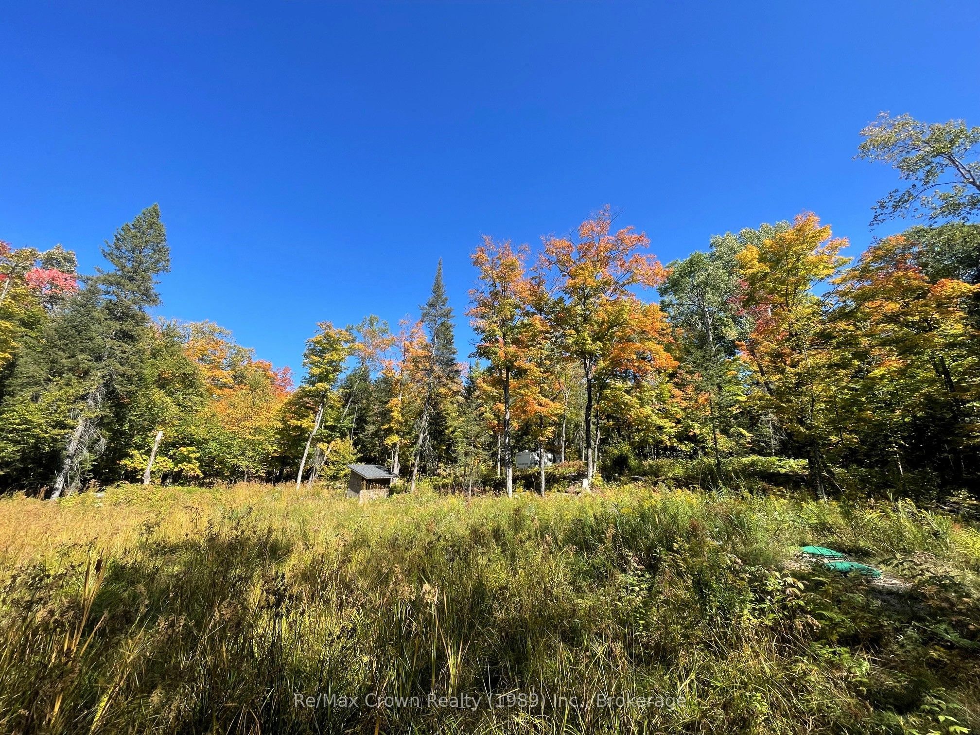 453 Pilgers Road Property Photo 16
