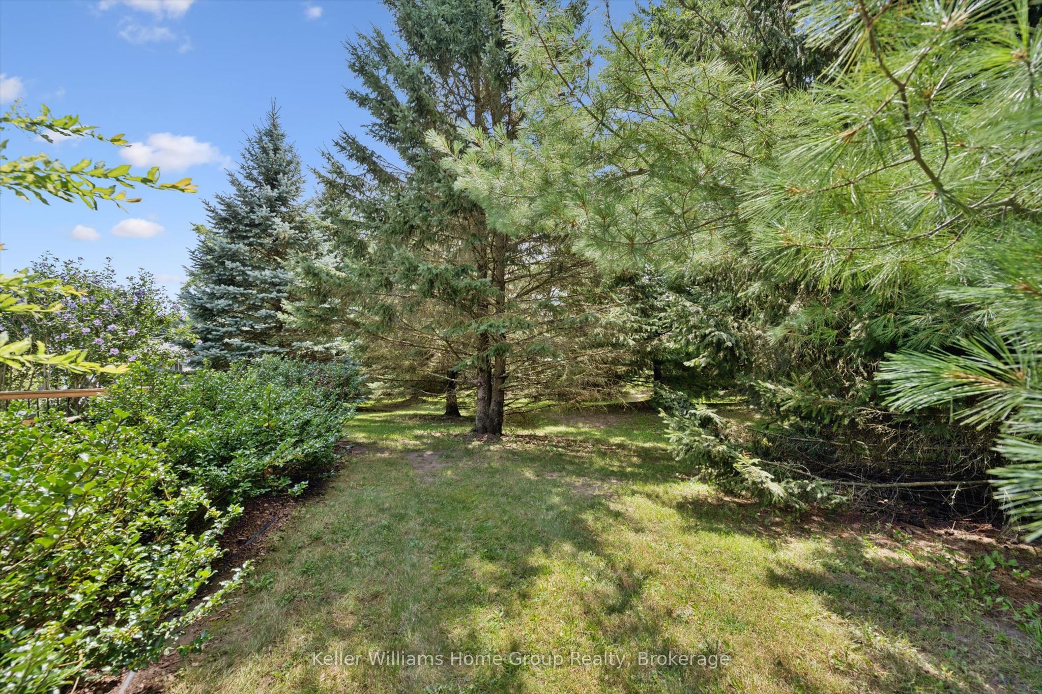 90 White Bark Way Property Photo 37