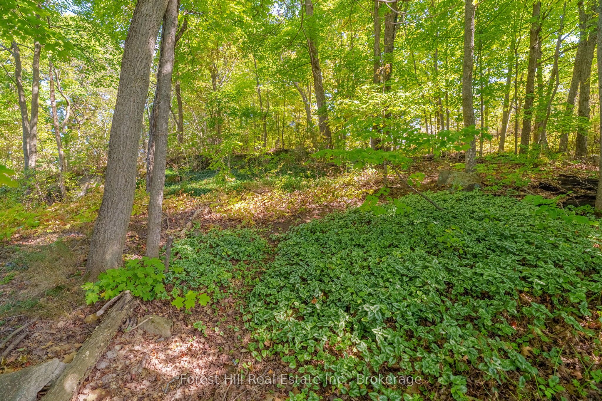 1 Maplecrest Court Property Photo 40