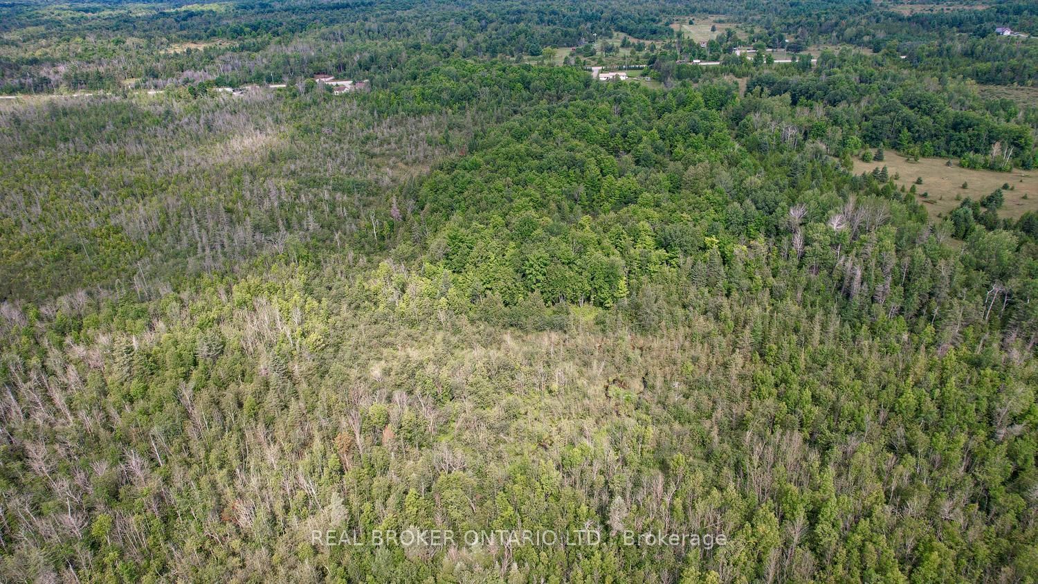 5397 Roger Stevens Drive Property Photo 44