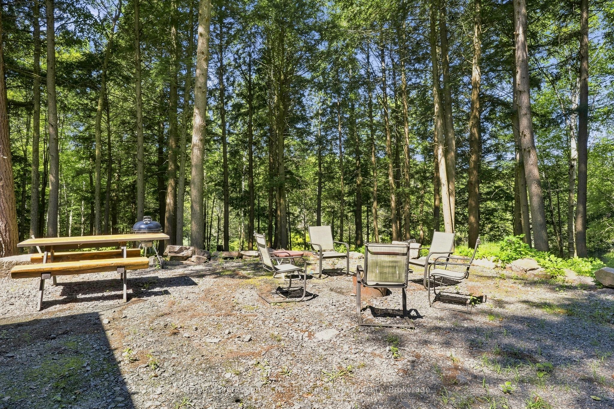 1433 Buckslide Road Property Photo 33