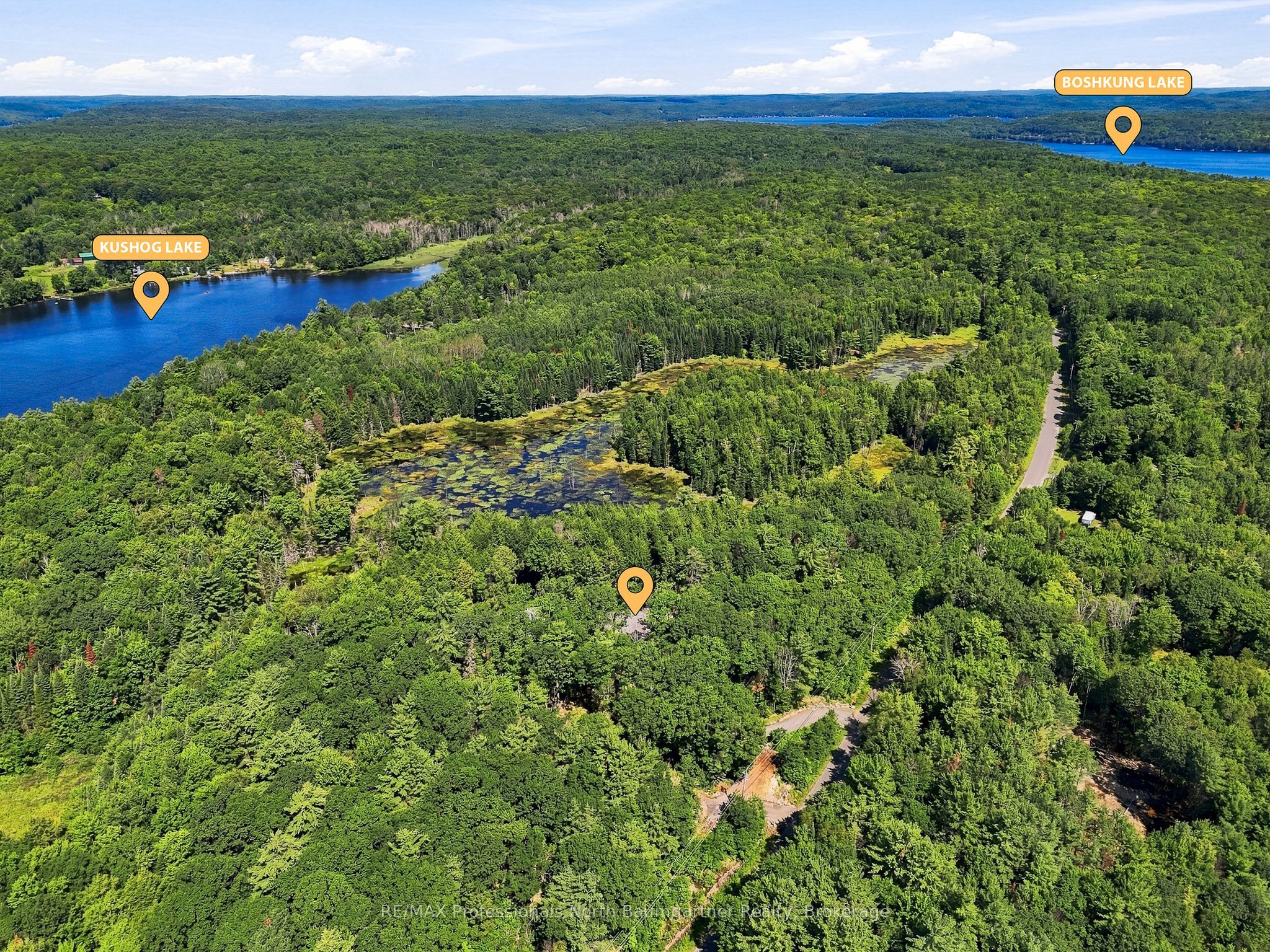 1433 Buckslide Road Property Photo 42