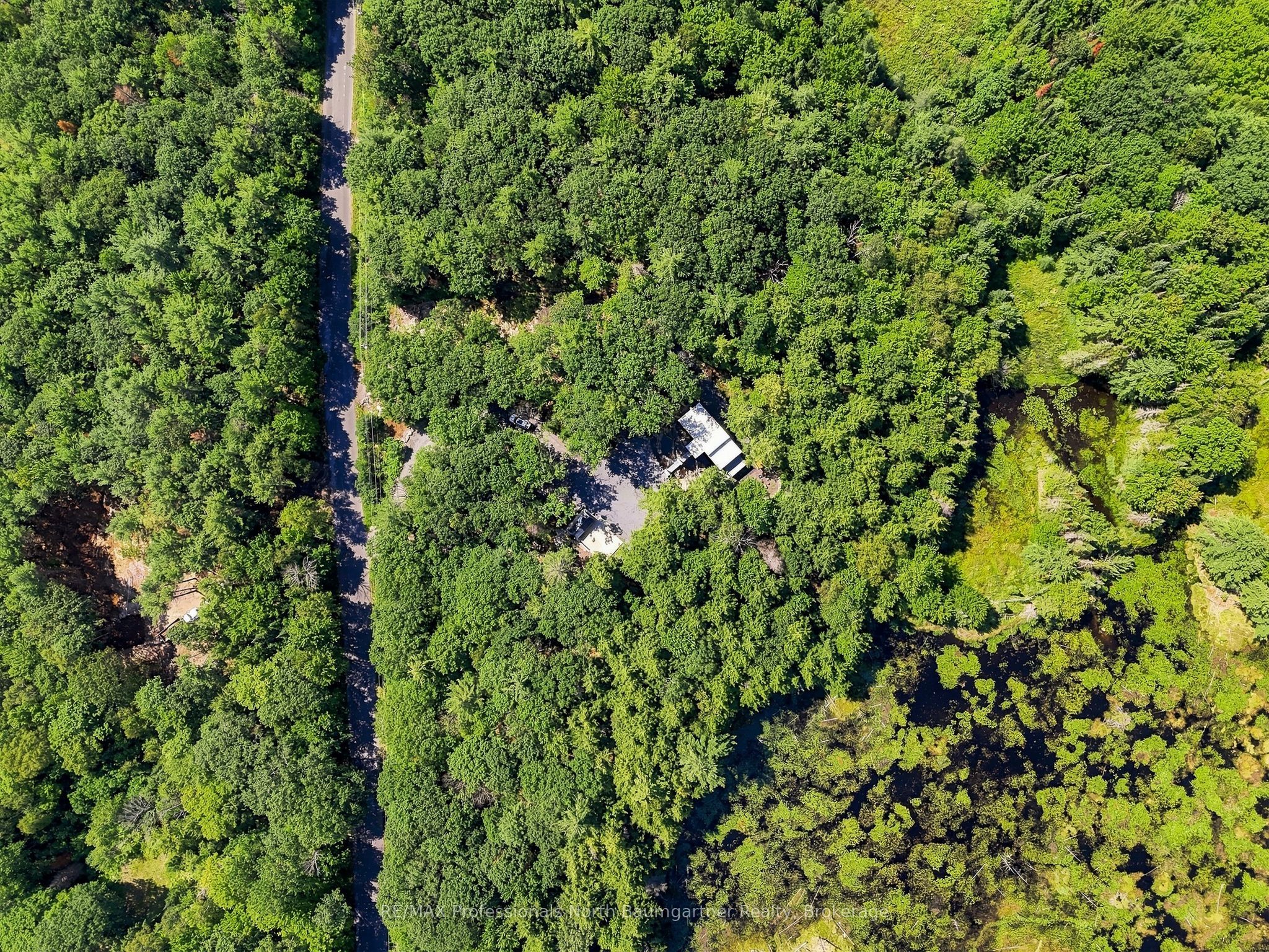 1433 Buckslide Road Property Photo 43