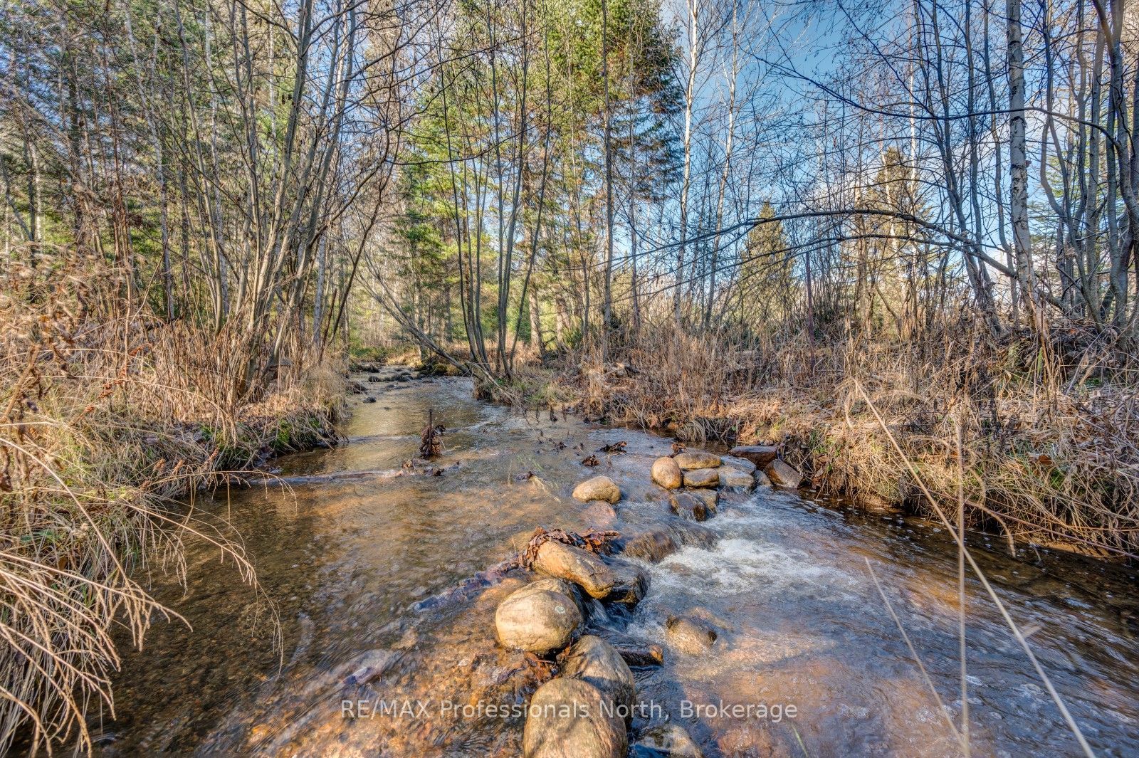 4167 Loop Road Property Photo 39