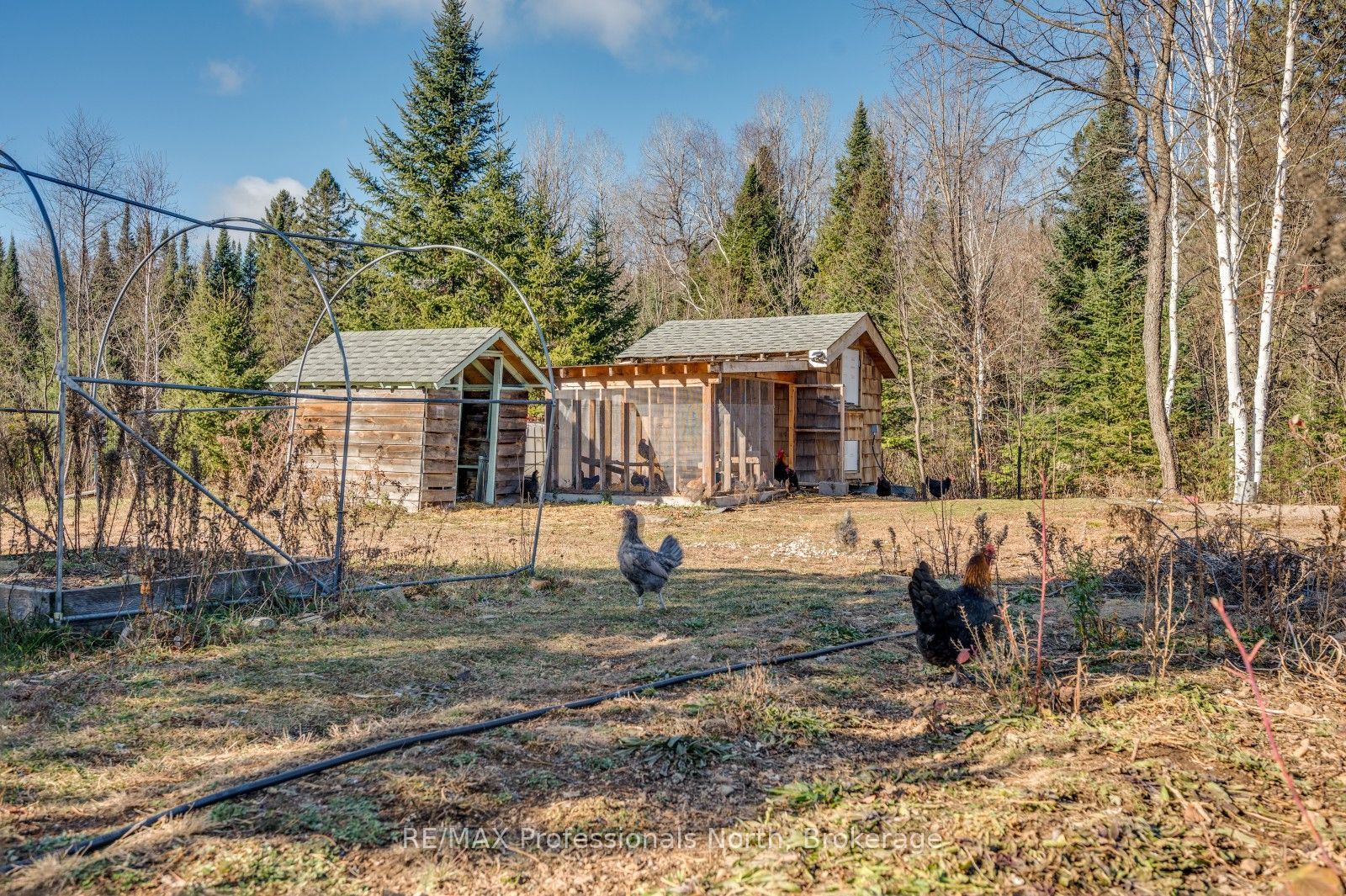 4167 Loop Road Property Photo 43