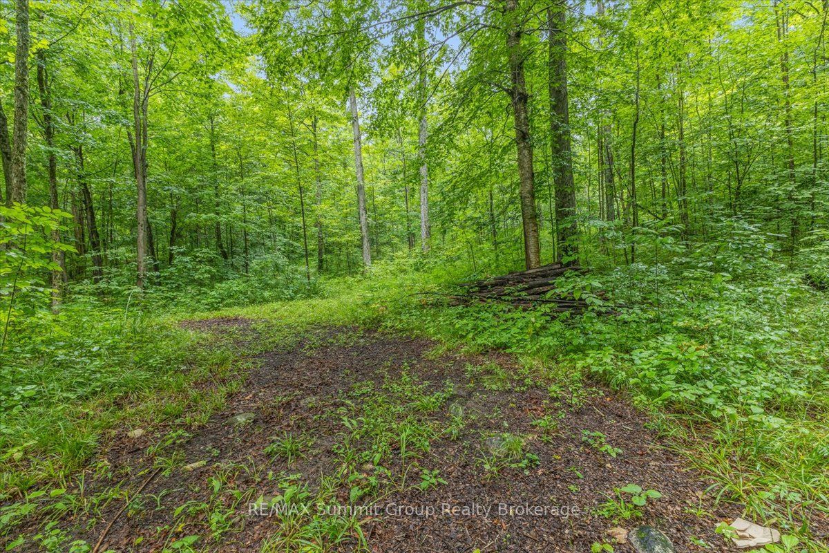 Pt Lt 4 Concession Road 8 Property Photo 4
