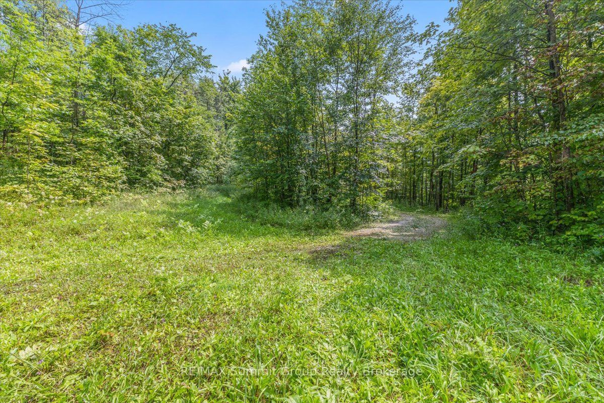 Pt Lt 4 Concession Road 8 Property Photo 6