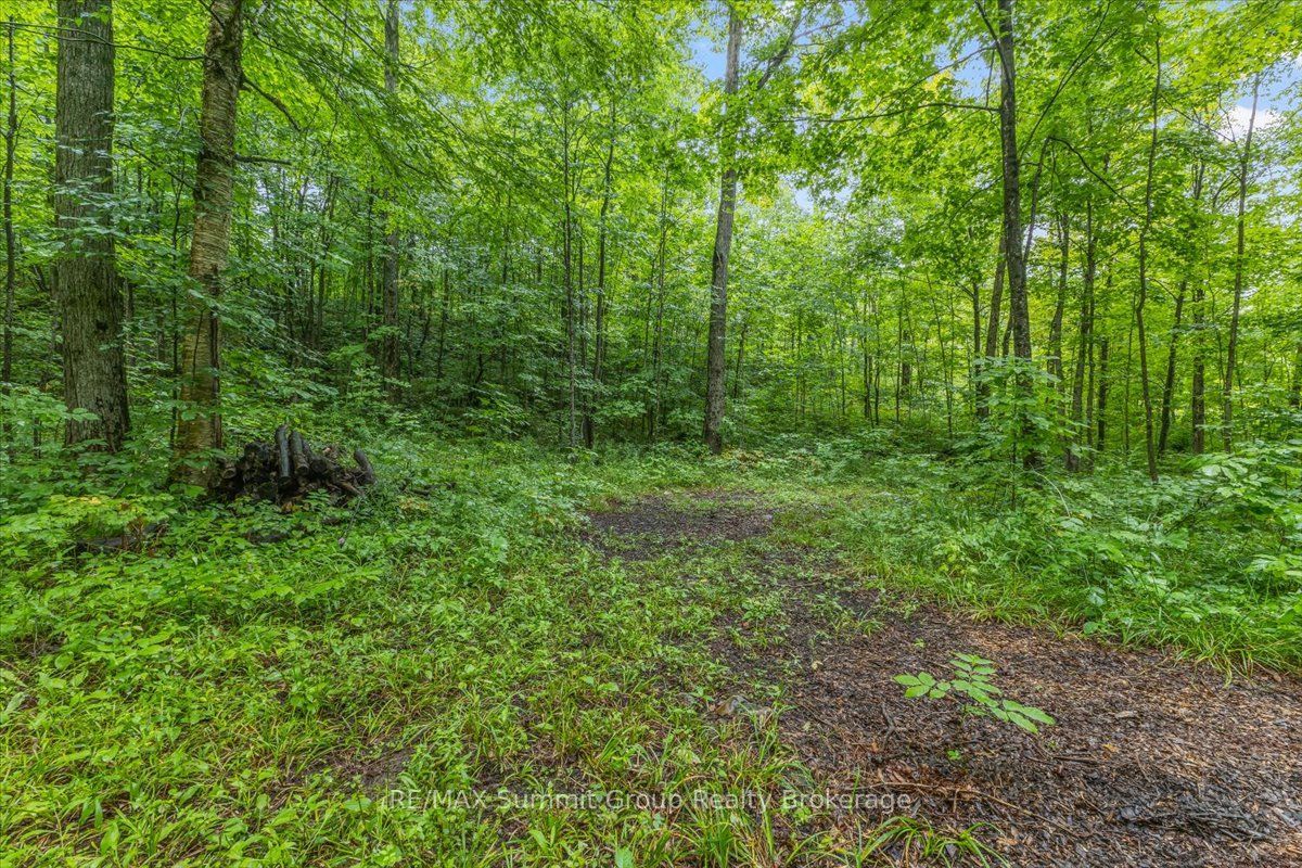 Pt Lt 4 Concession Road 8 Property Photo 7