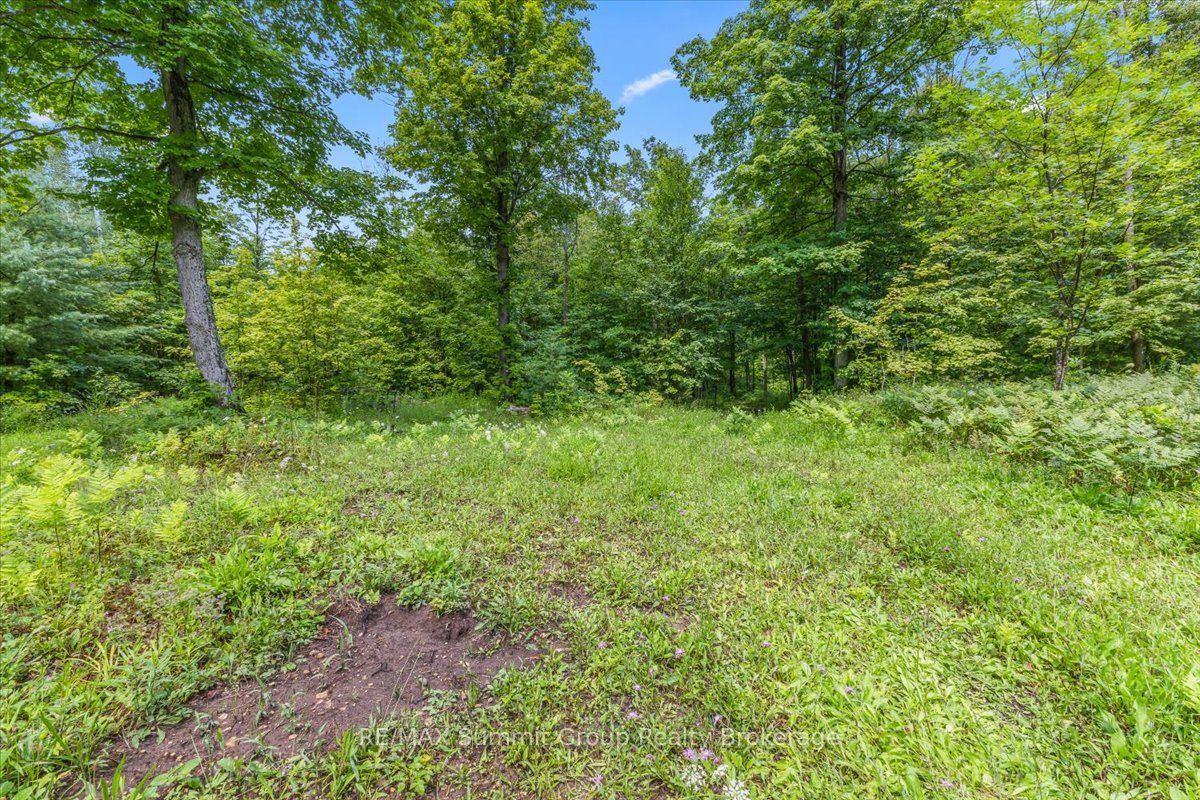 Pt Lt 4 Concession Road 8 Property Photo 8